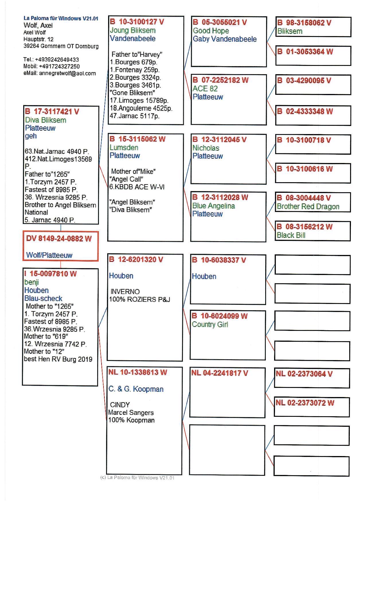 Pigeon pedigree image