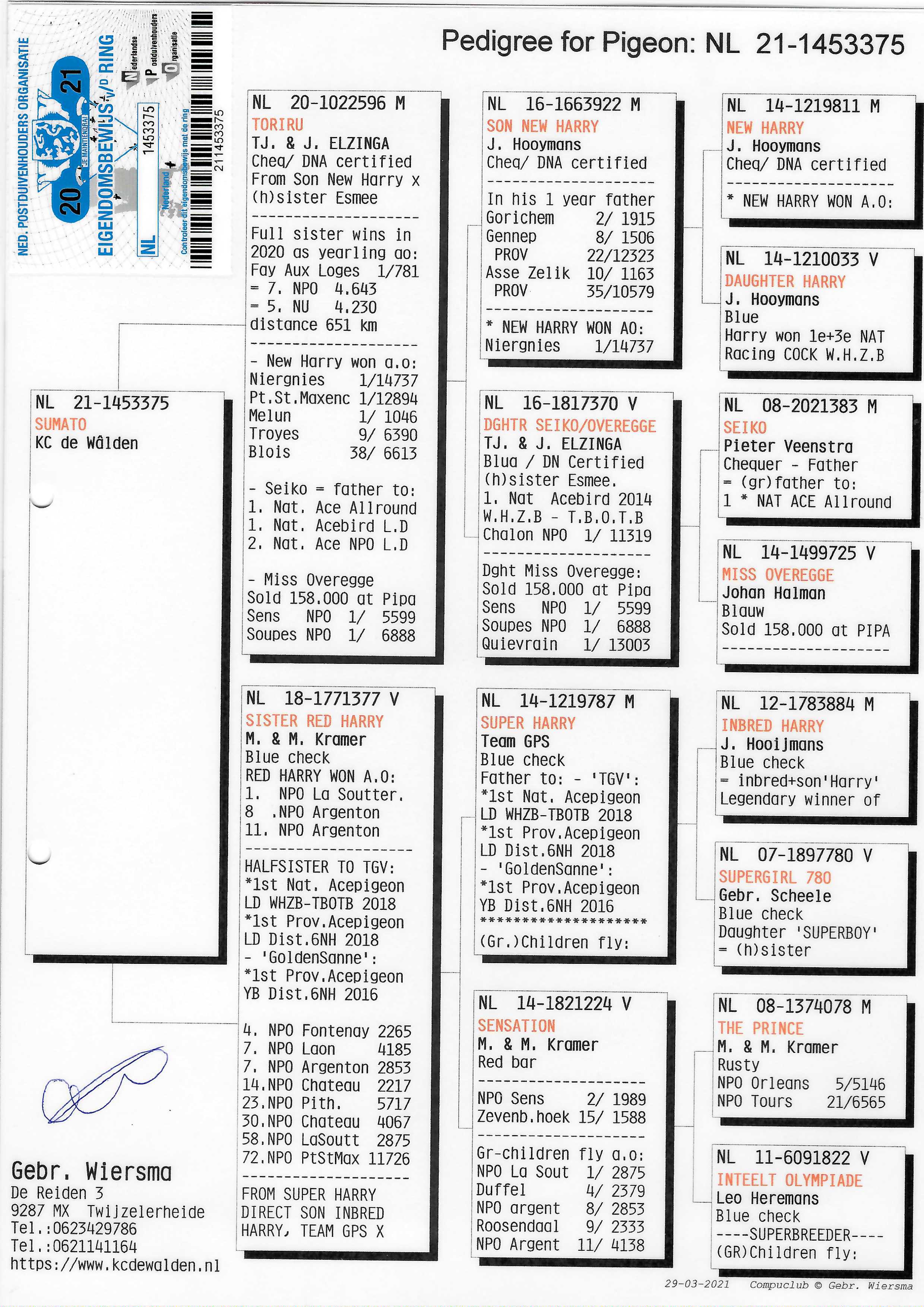 Pigeon pedigree image