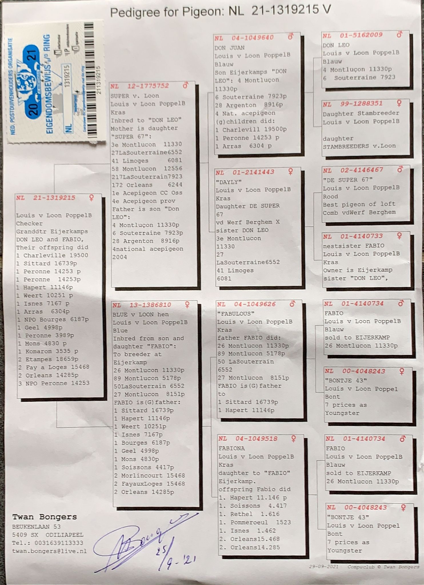 Pigeon pedigree image