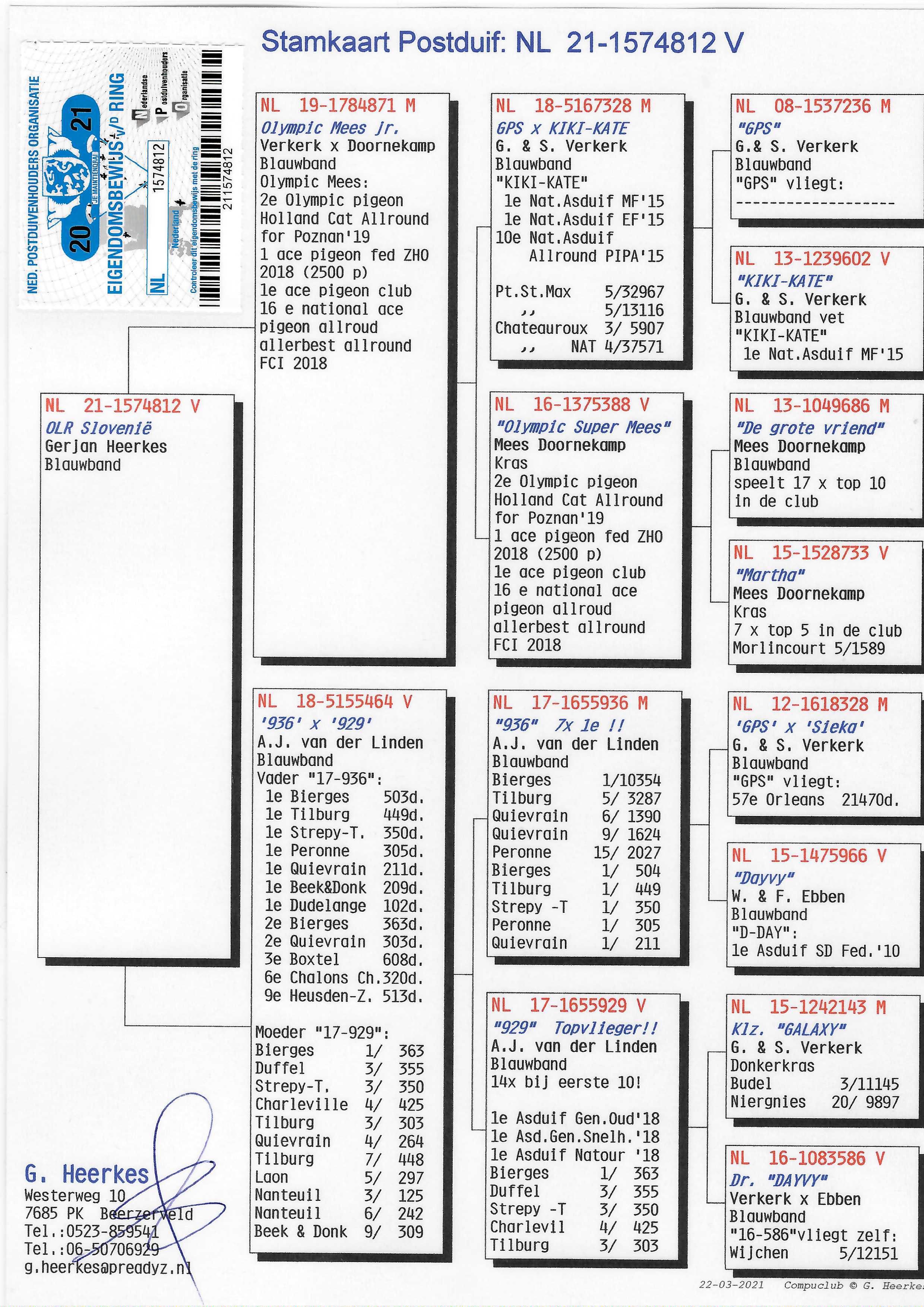Pigeon pedigree image