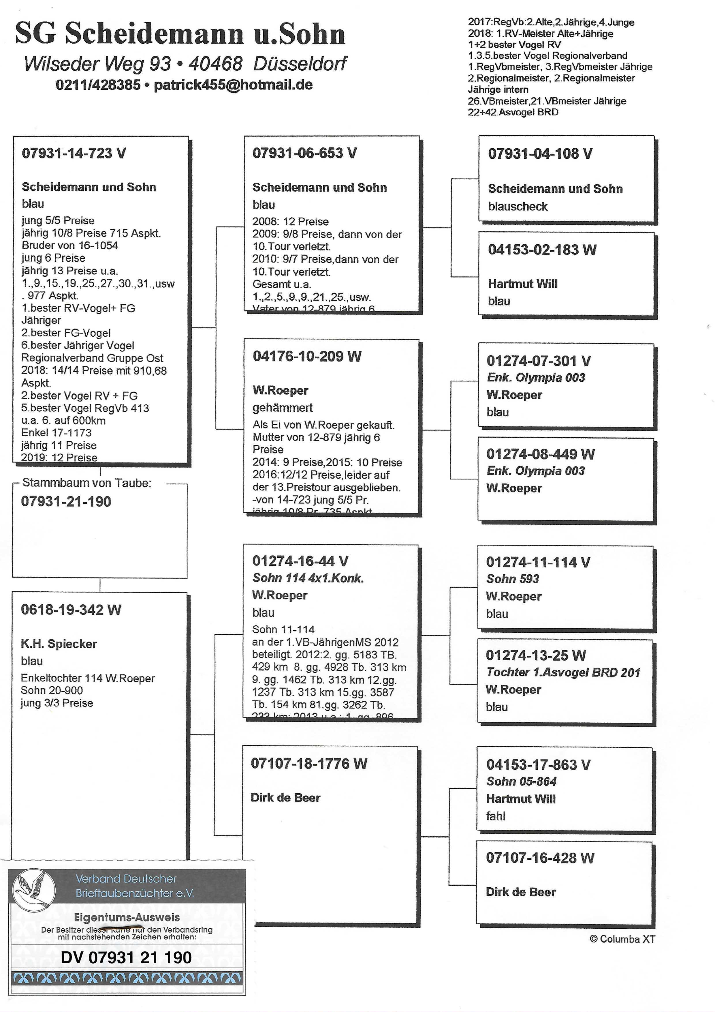 Pigeon pedigree image