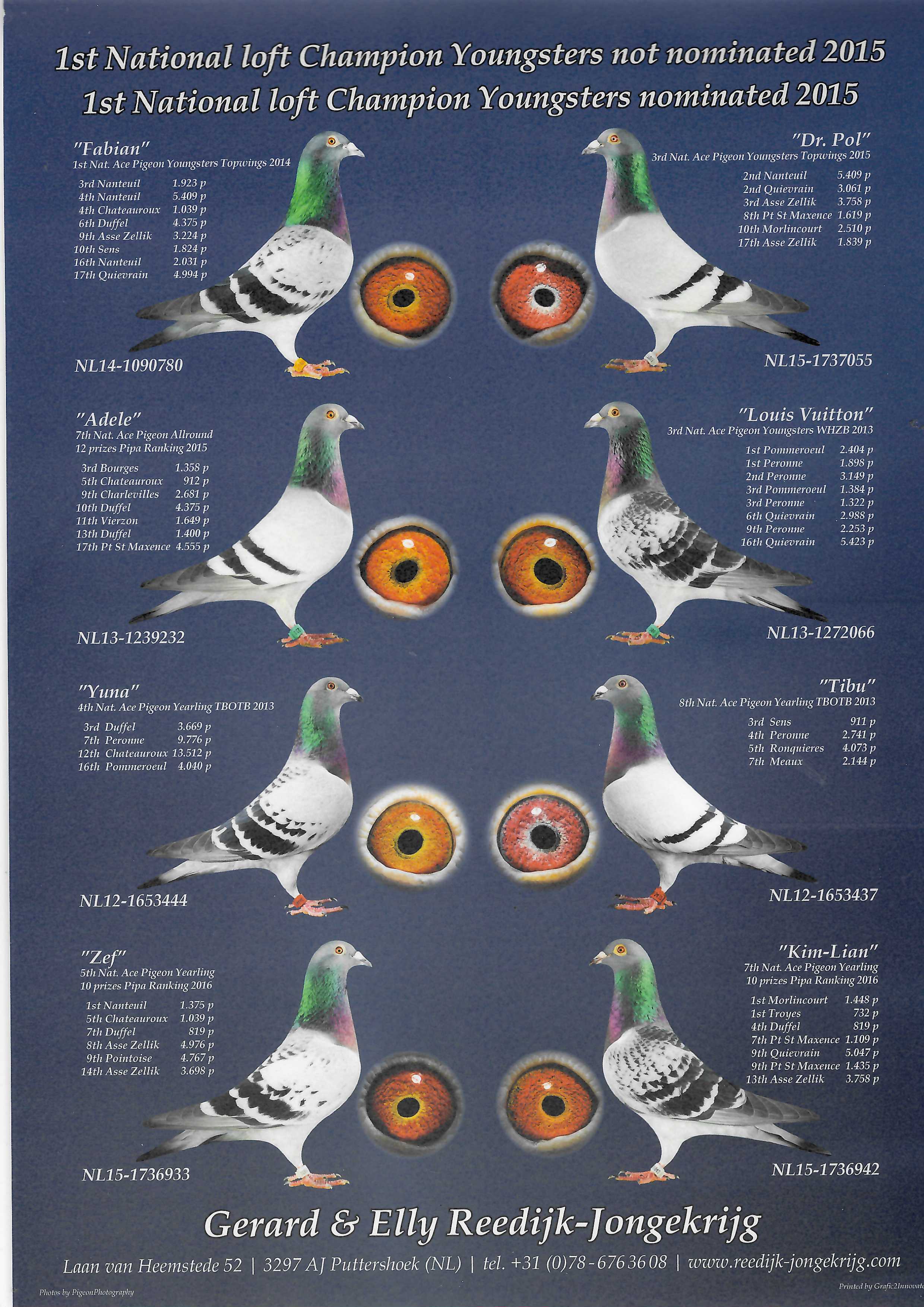 Pigeon pedigree image