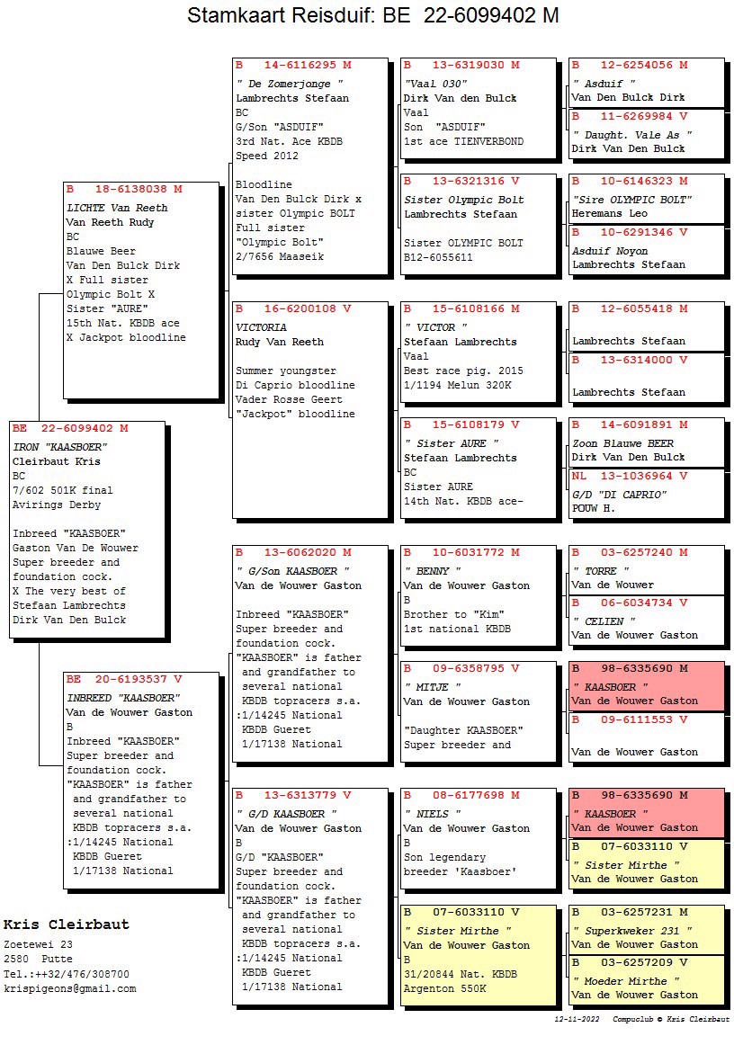Pigeon pedigree image