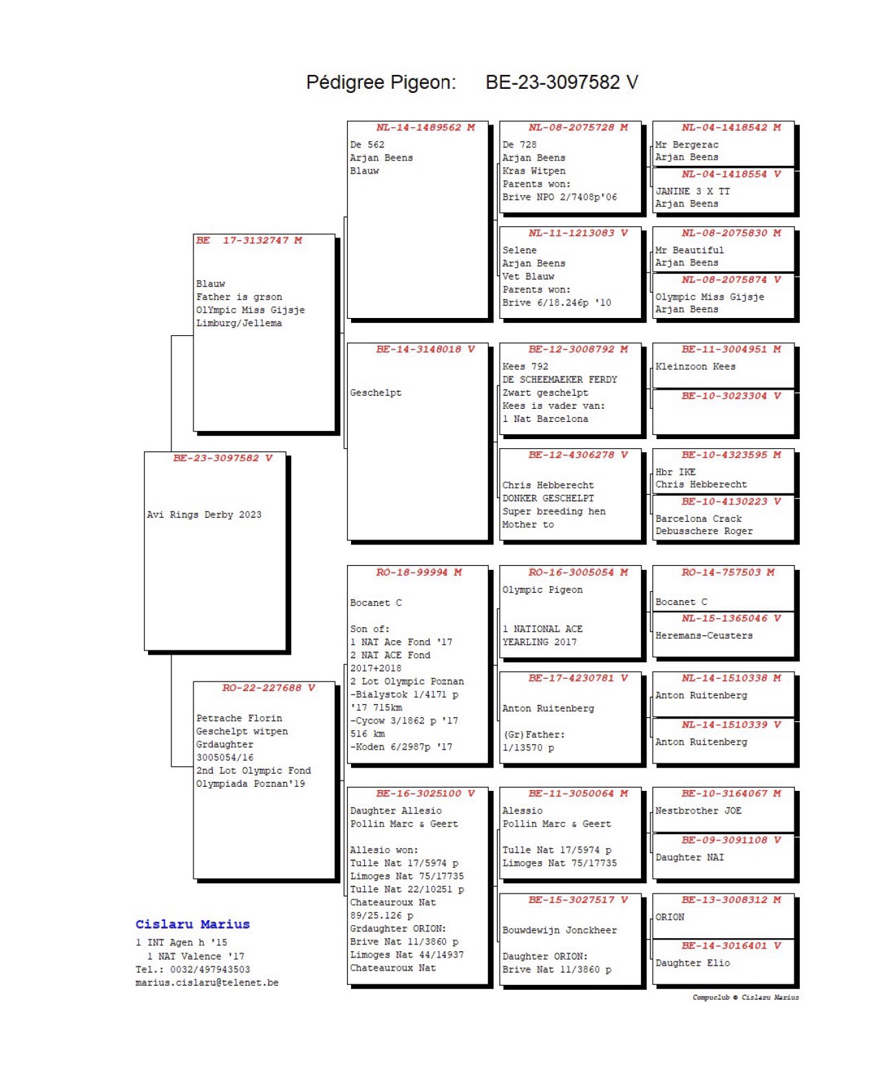 Pigeon pedigree image