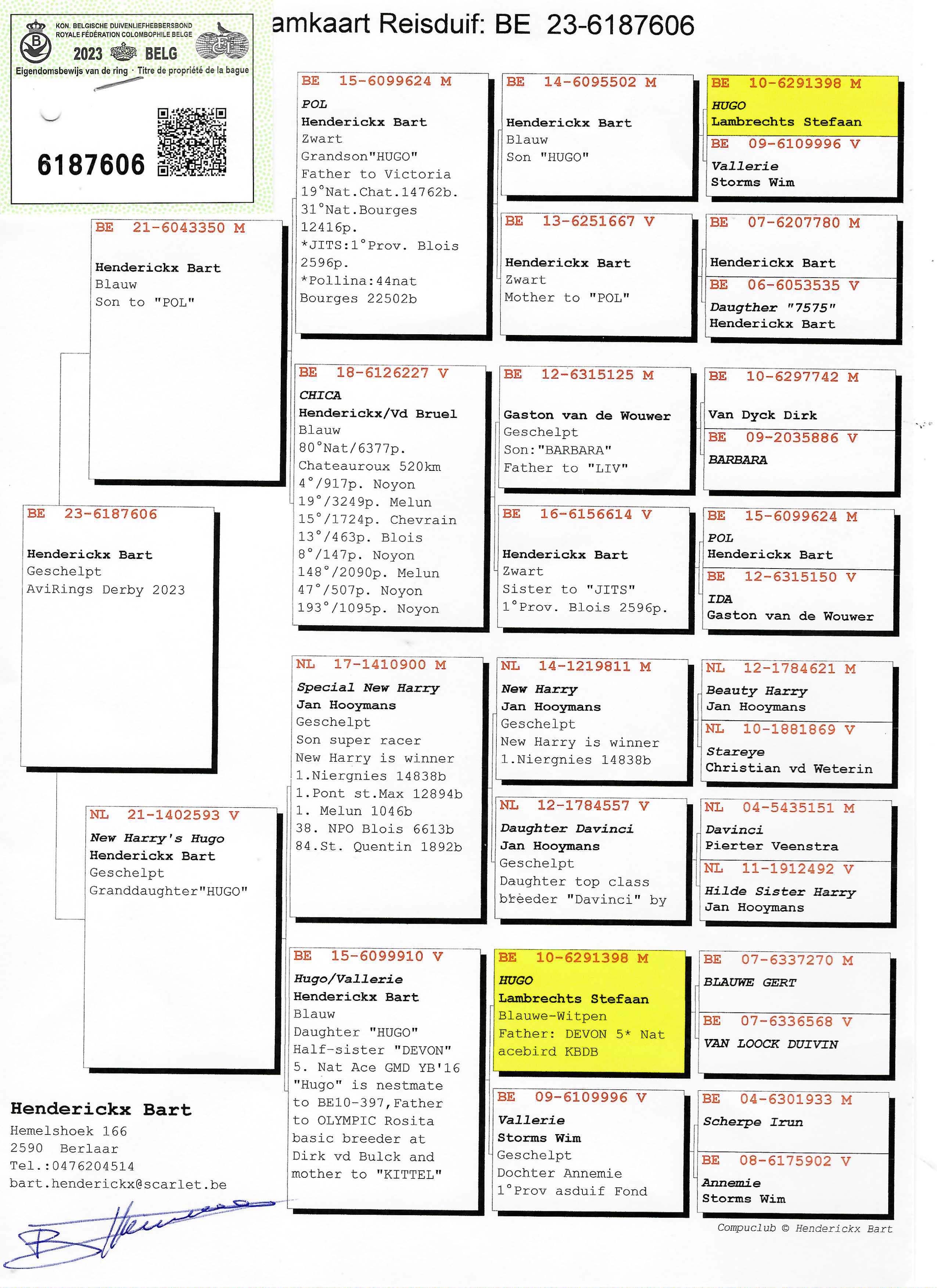 Pigeon pedigree image
