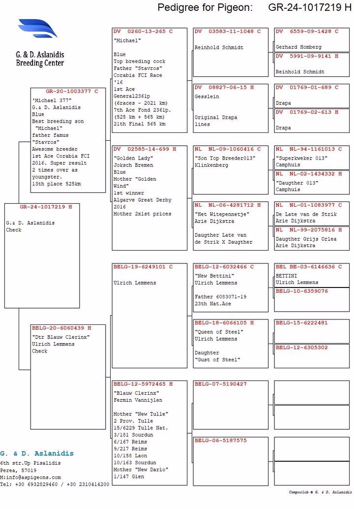 Pigeon pedigree image