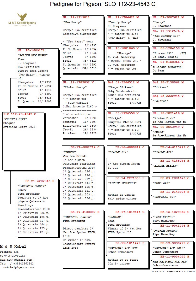 Pigeon pedigree image