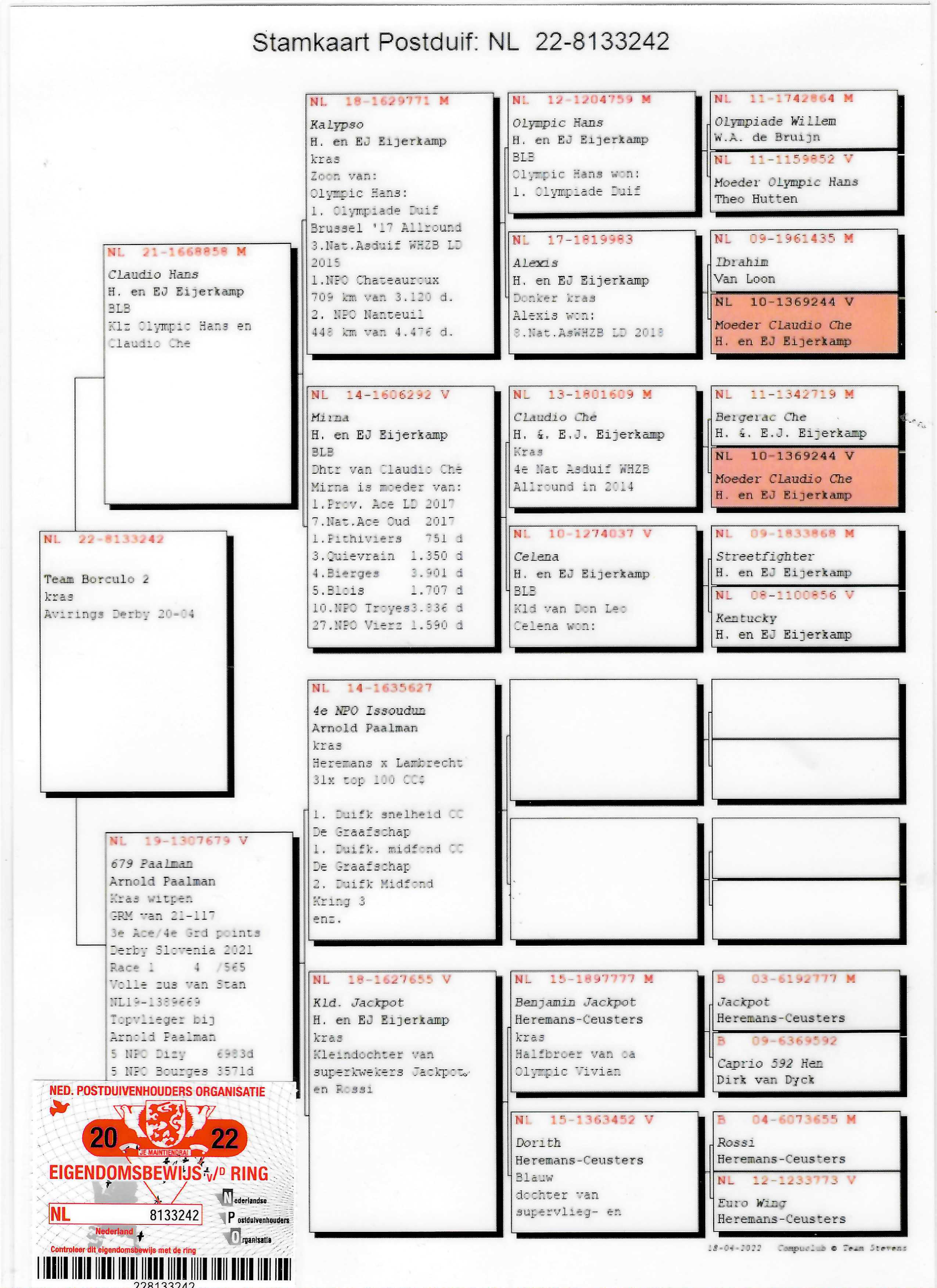 Pigeon pedigree image