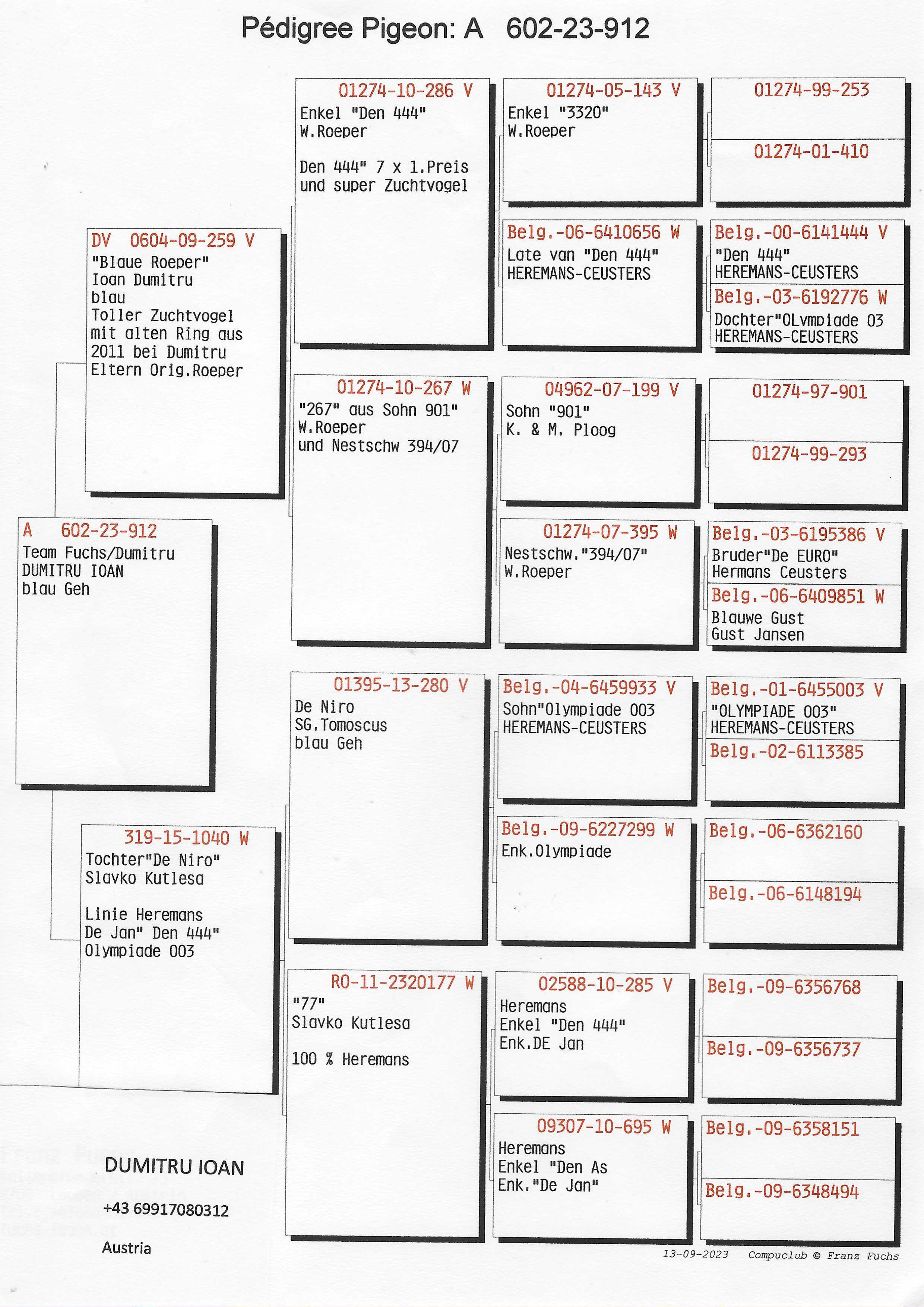 Pigeon pedigree image