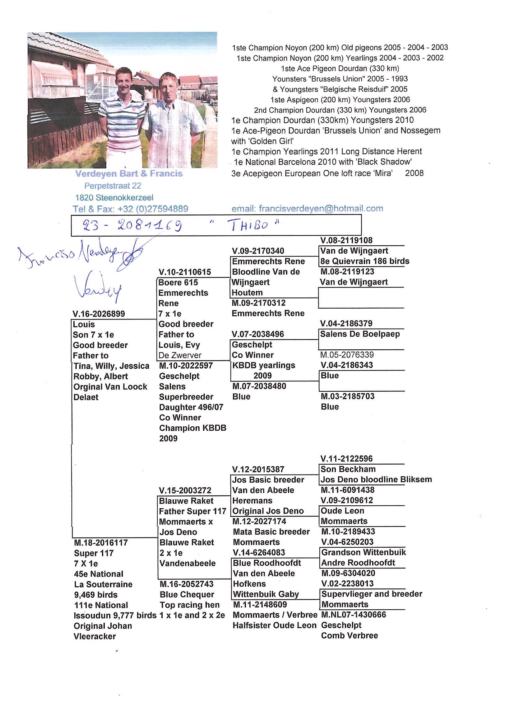 Pigeon pedigree image