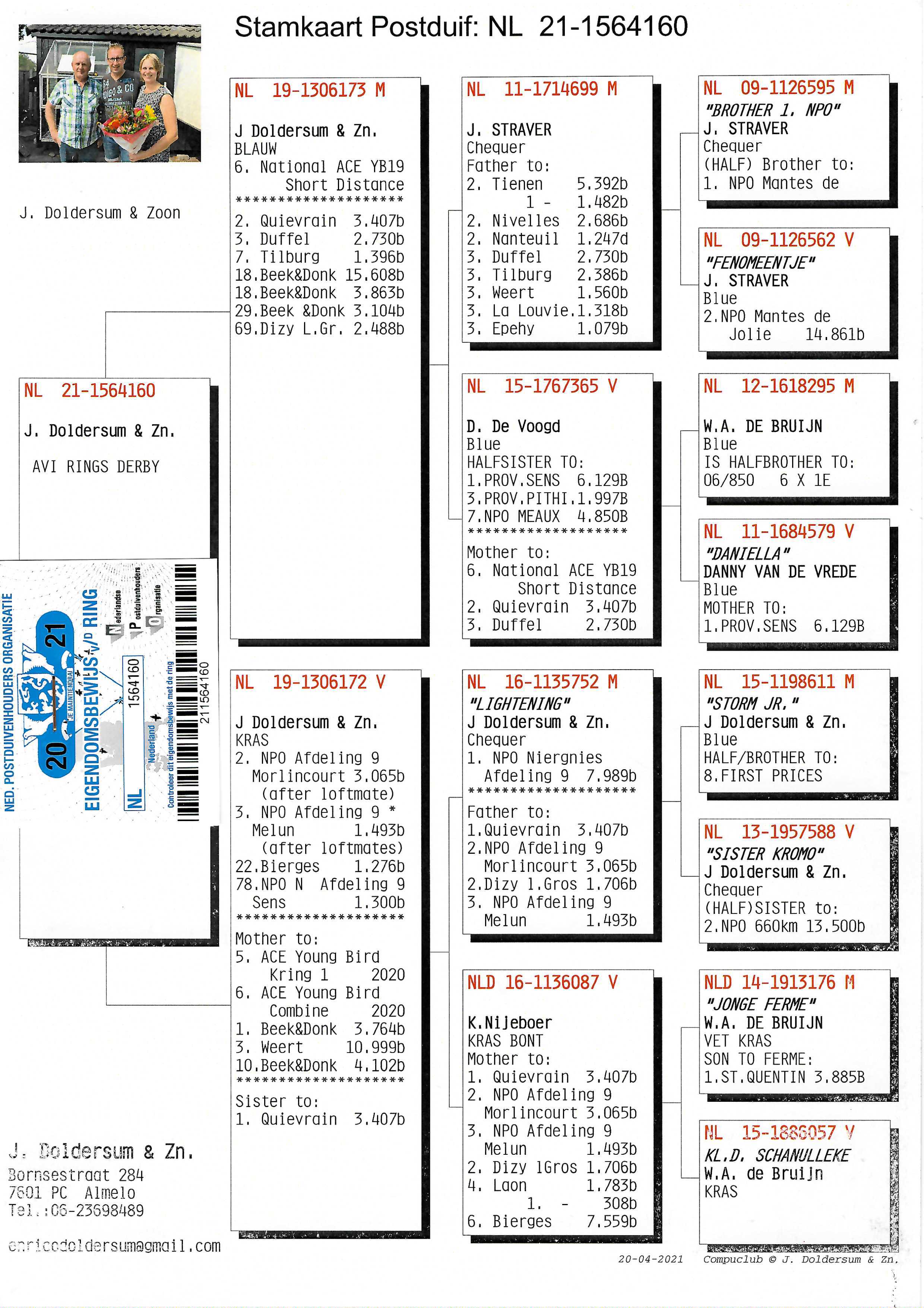 Pigeon pedigree image