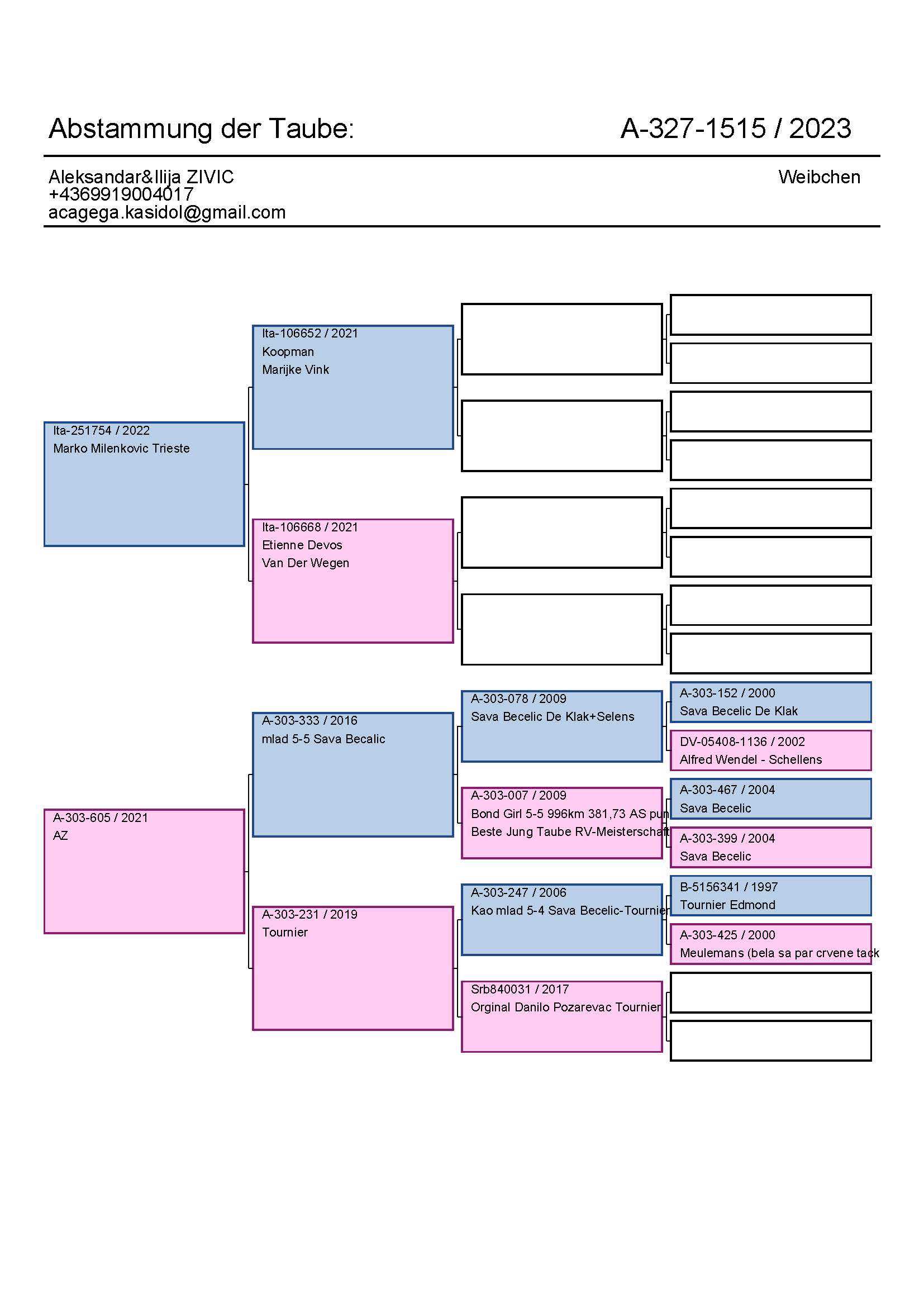 Pigeon pedigree image