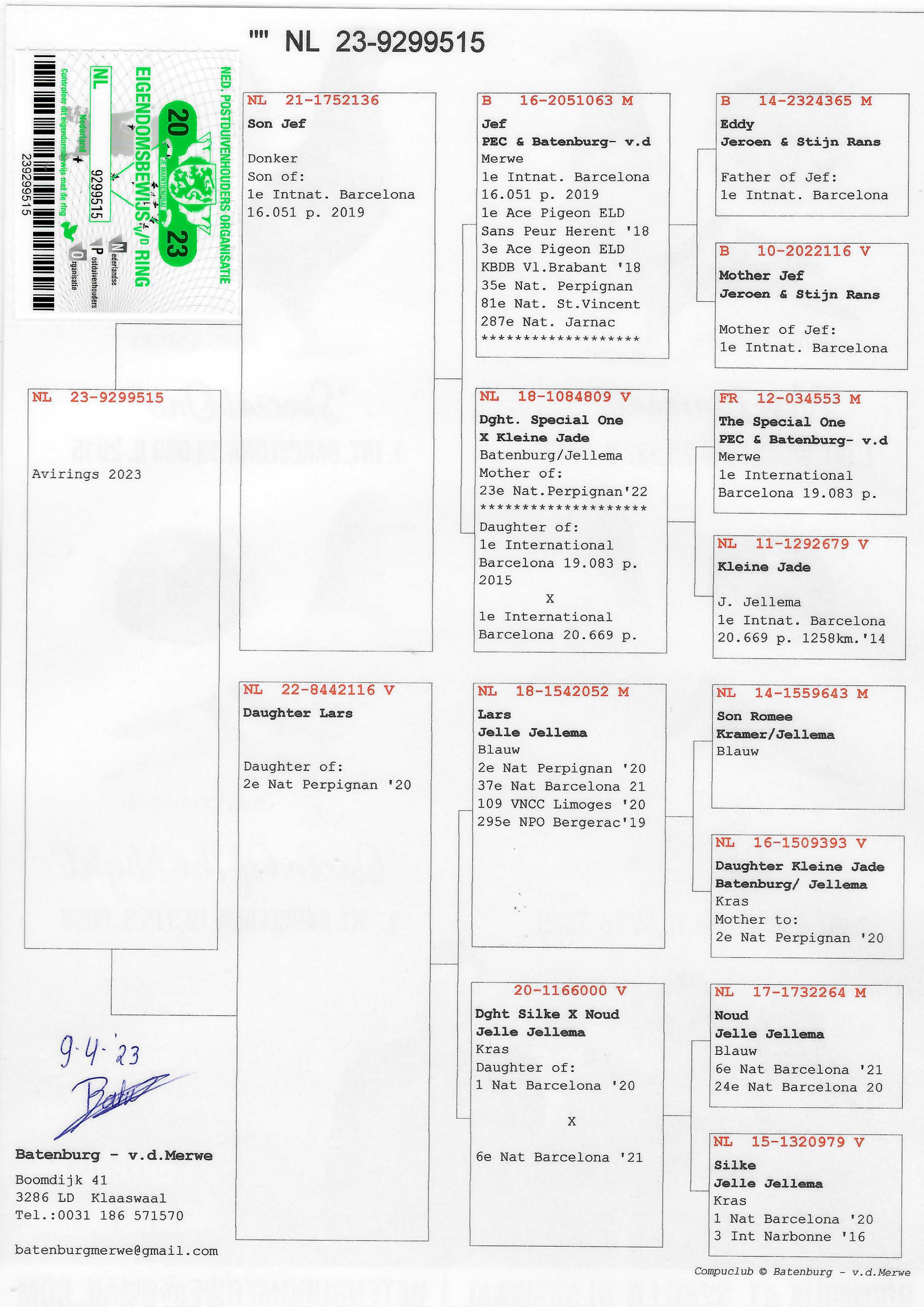 Pigeon pedigree image
