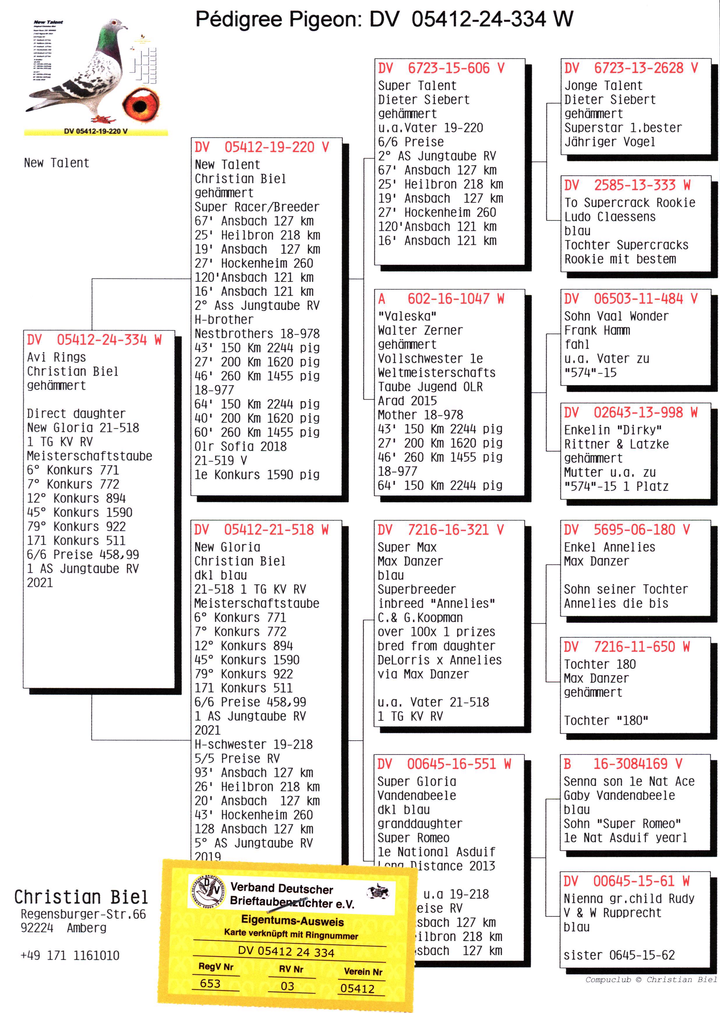 Pigeon pedigree image