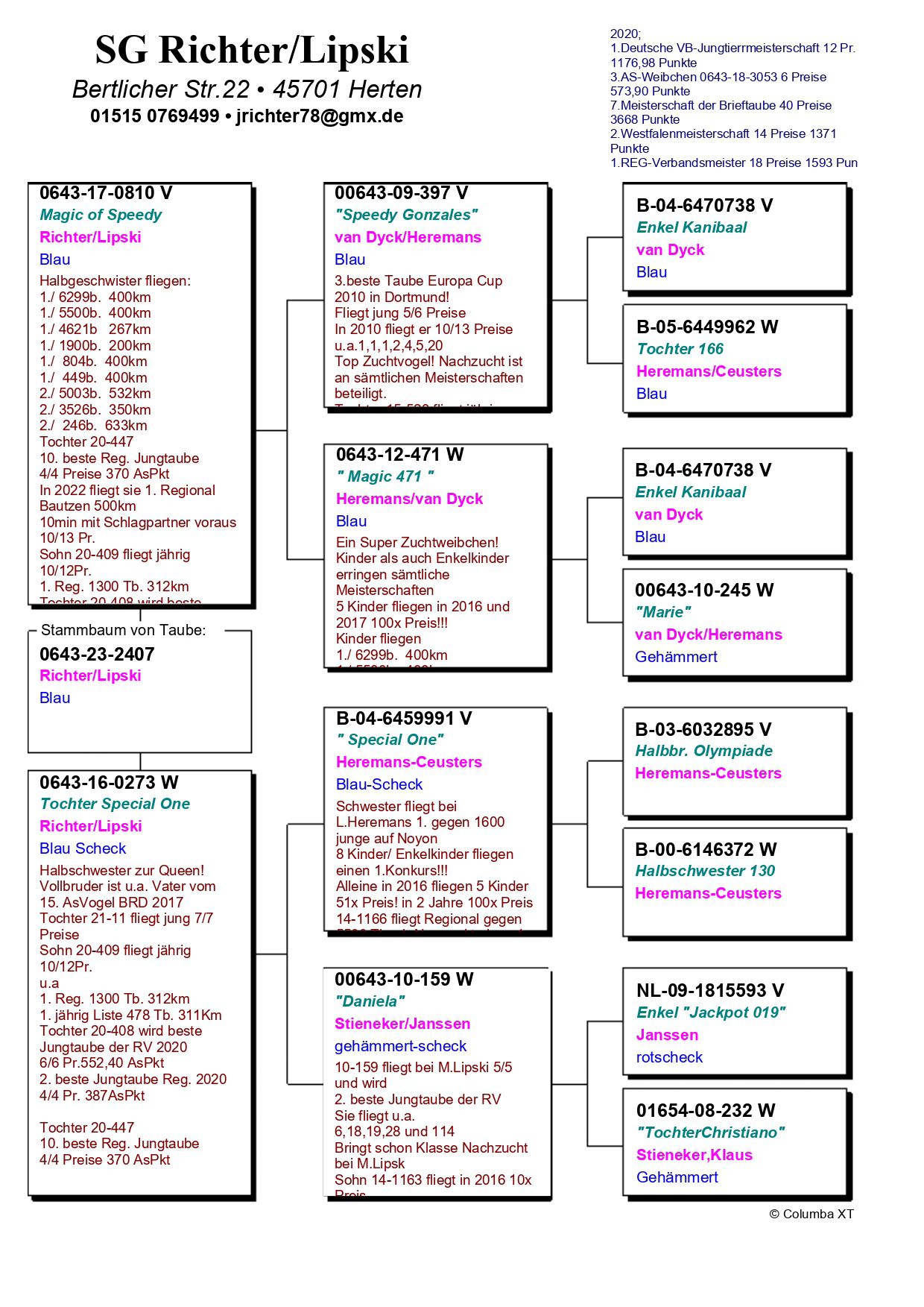 Pigeon pedigree image