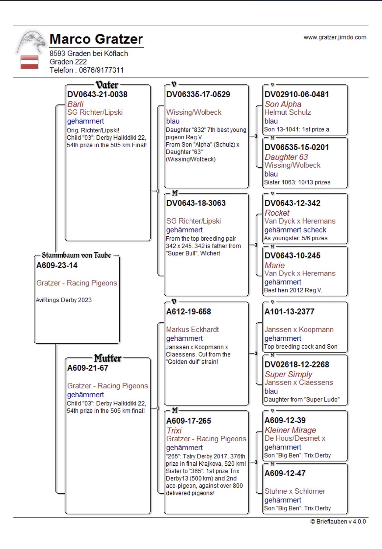 Pigeon pedigree image