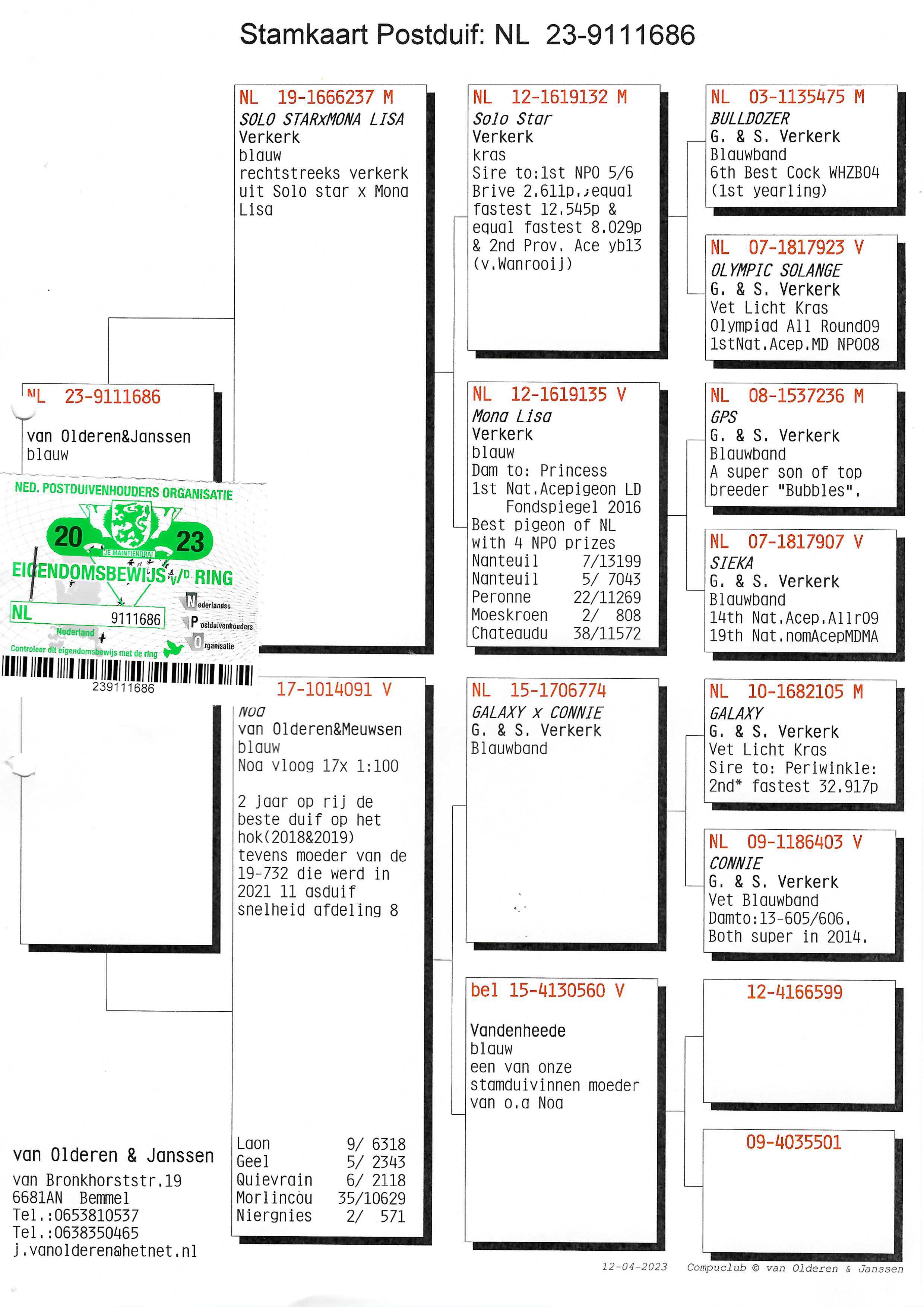 Pigeon pedigree image