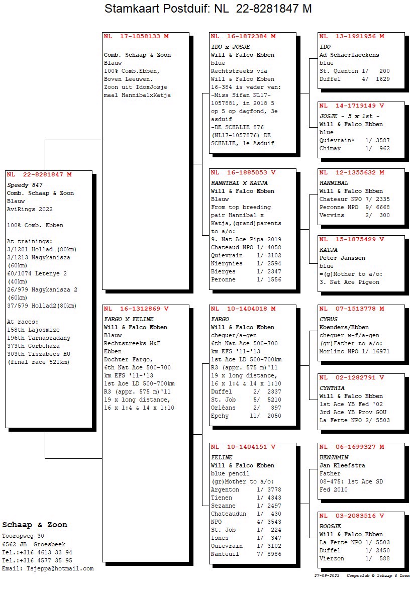 Pigeon pedigree image