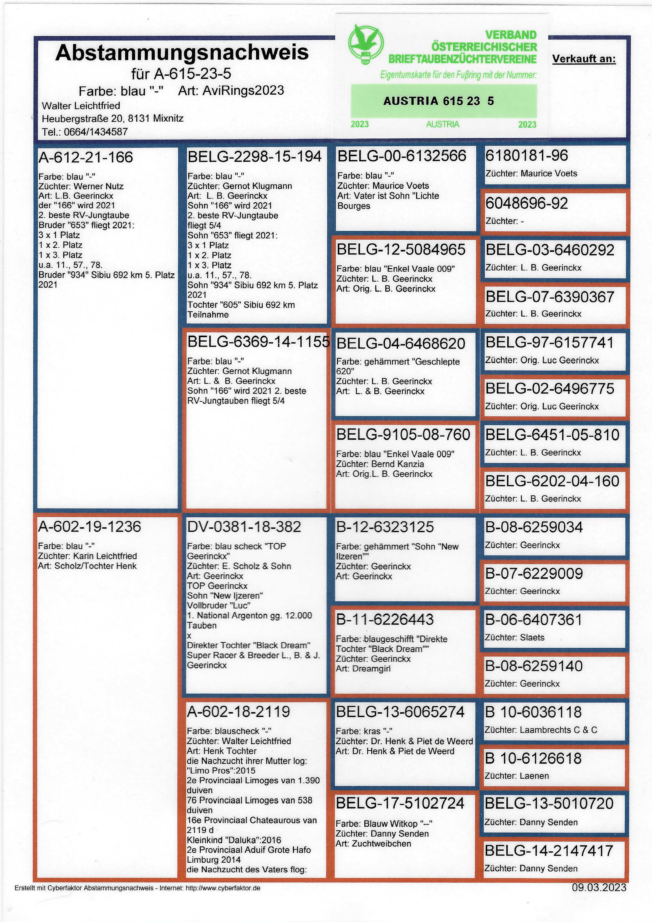 Pigeon pedigree image