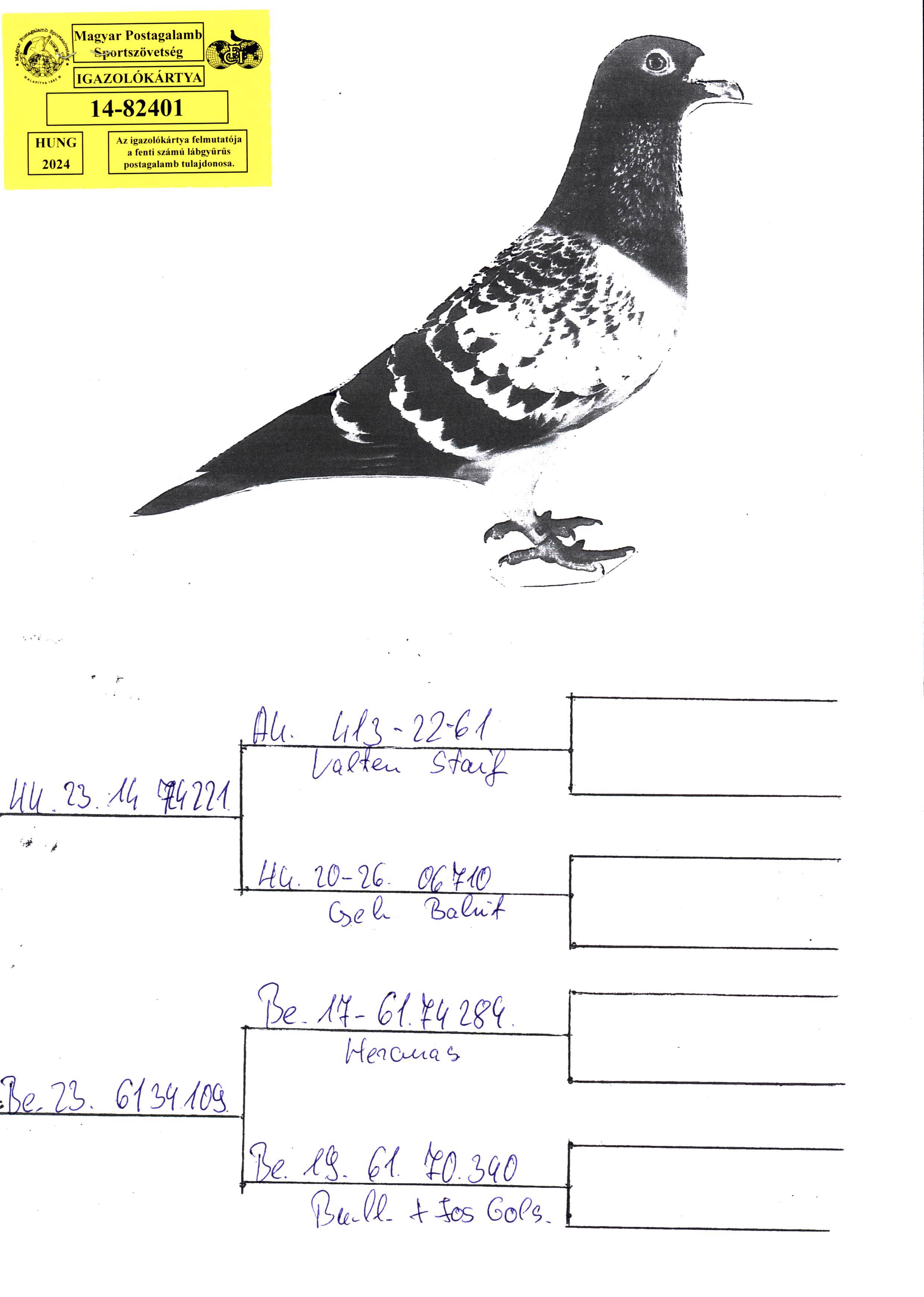 Pigeon pedigree image