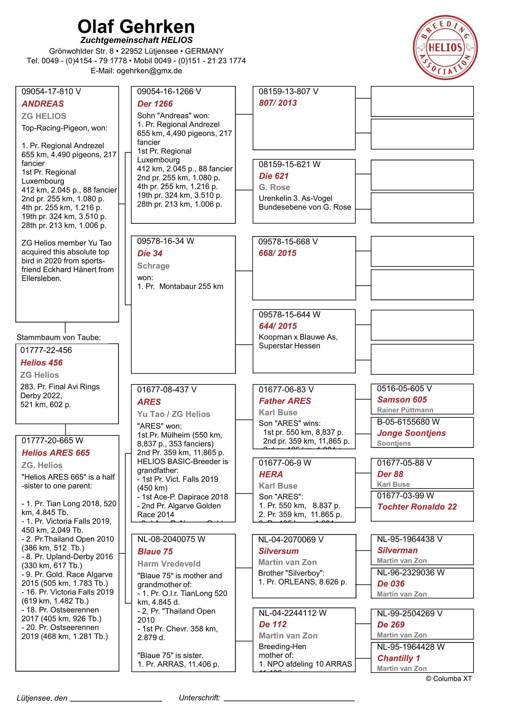 Pigeon pedigree image