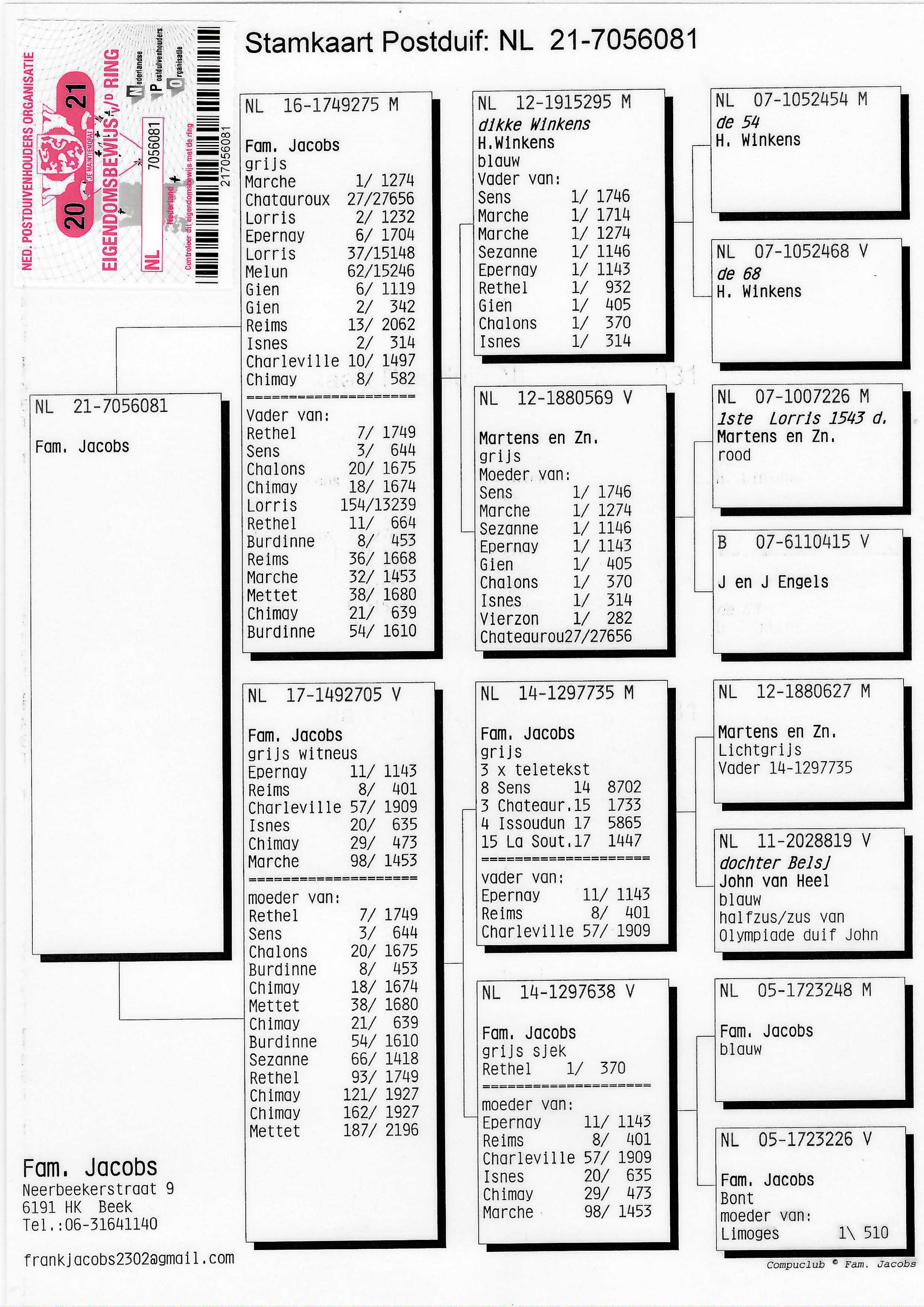 Pigeon pedigree image