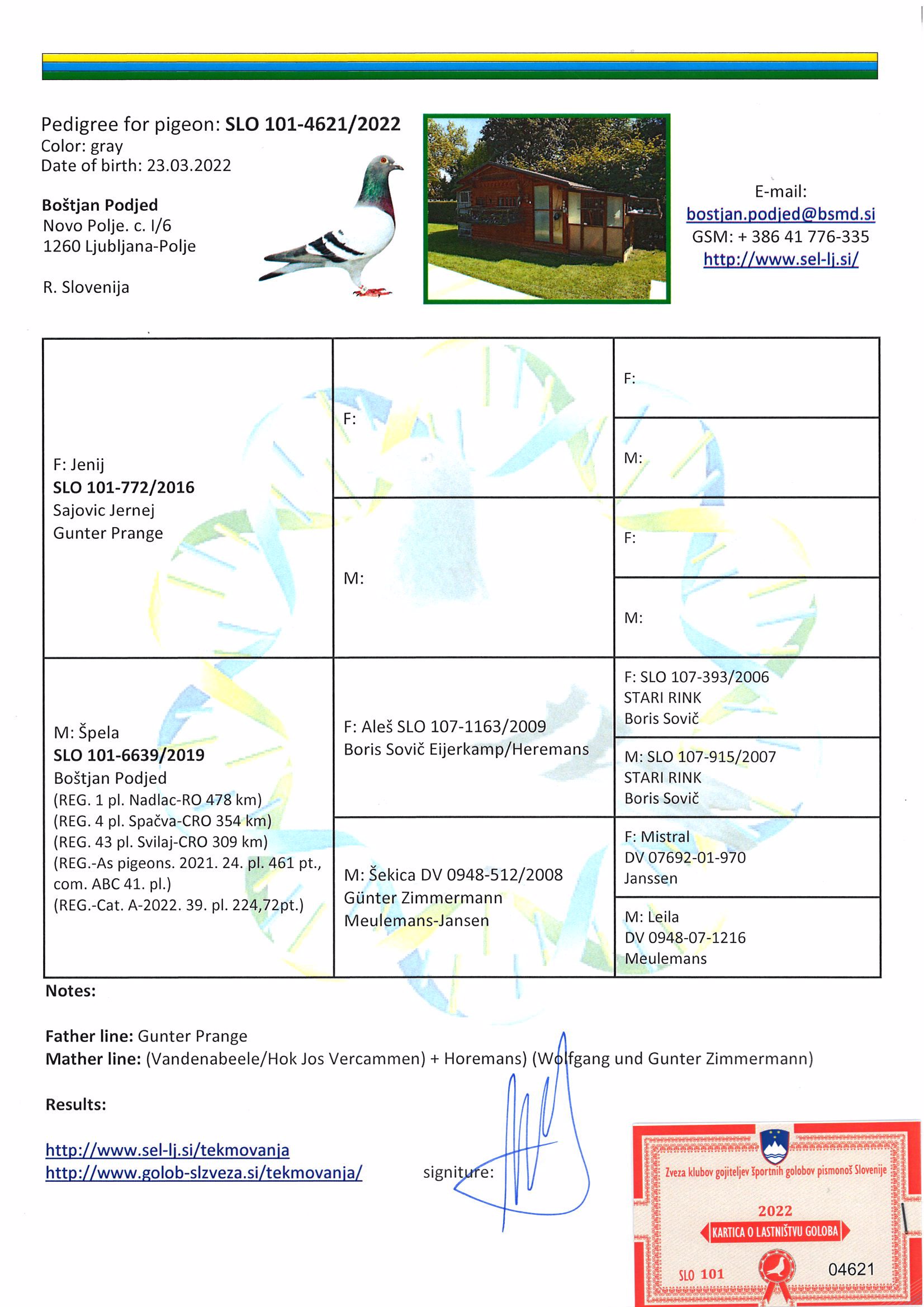 Pigeon pedigree image