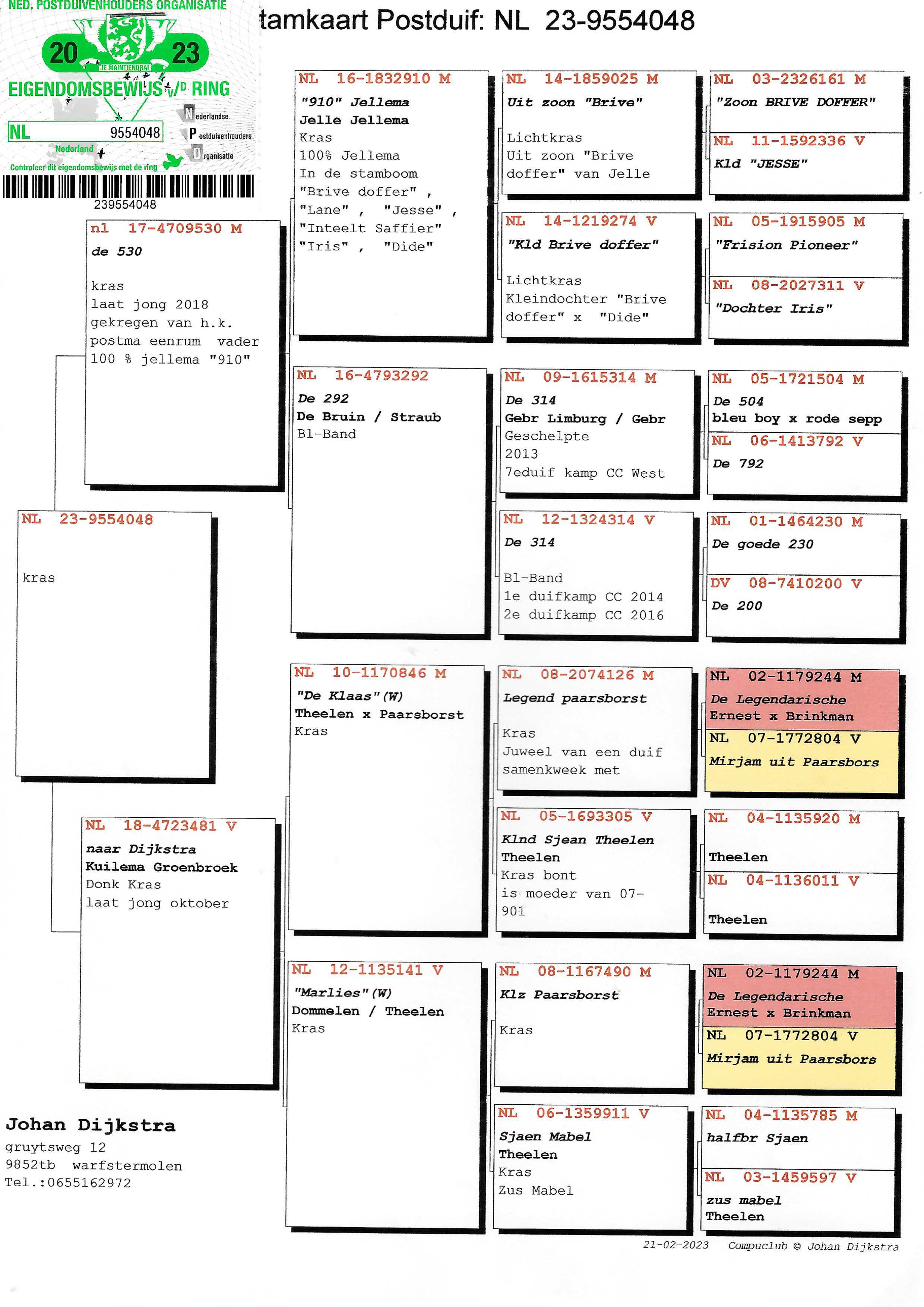 Pigeon pedigree image