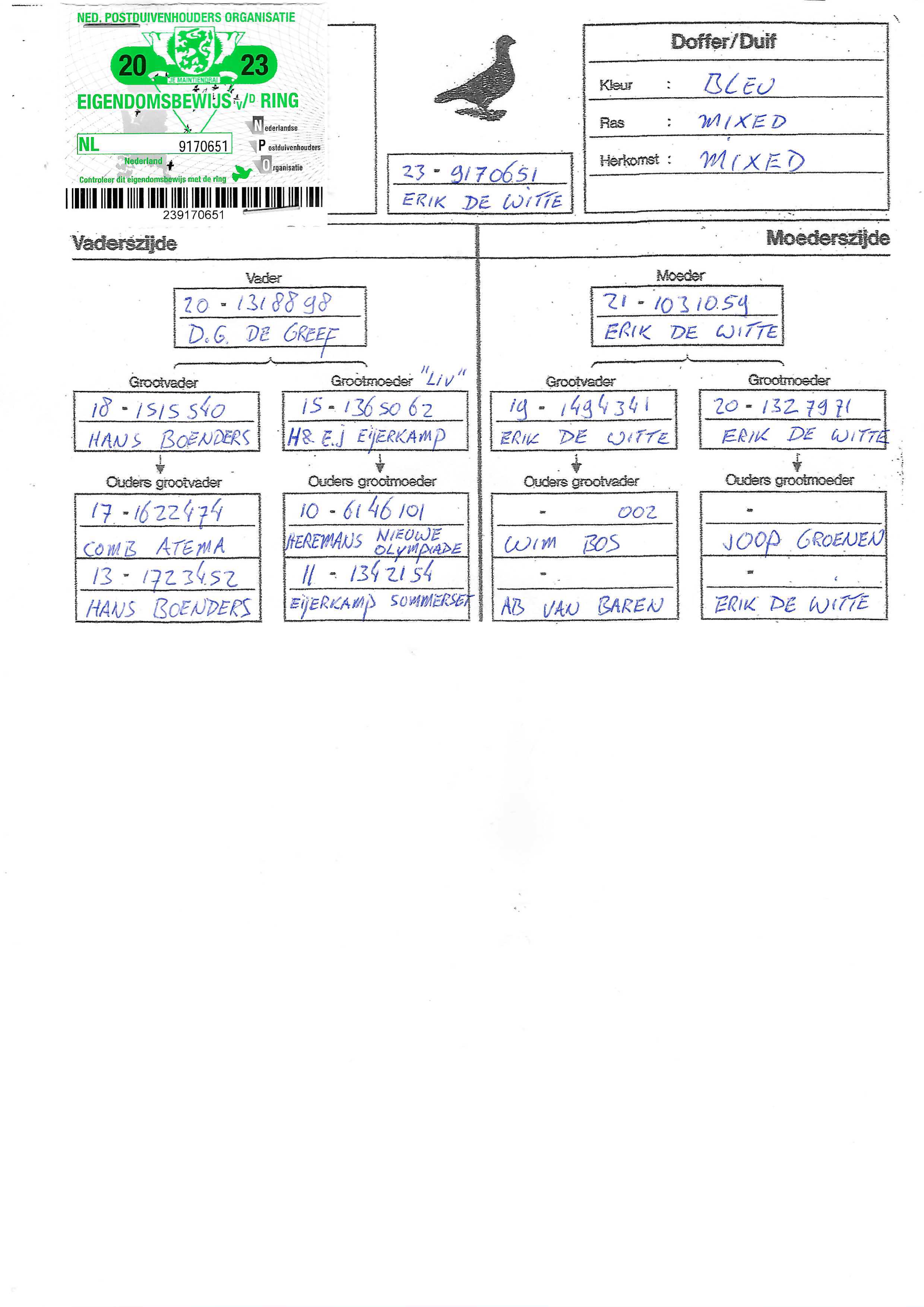 Pigeon pedigree image