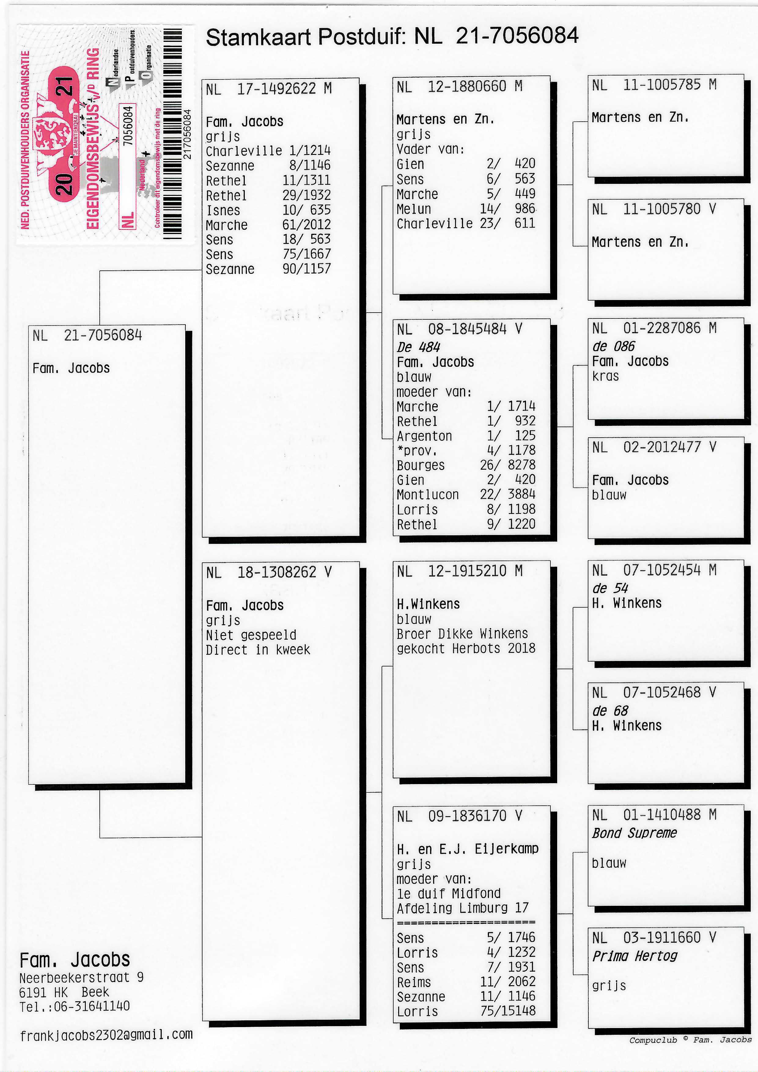 Pigeon pedigree image