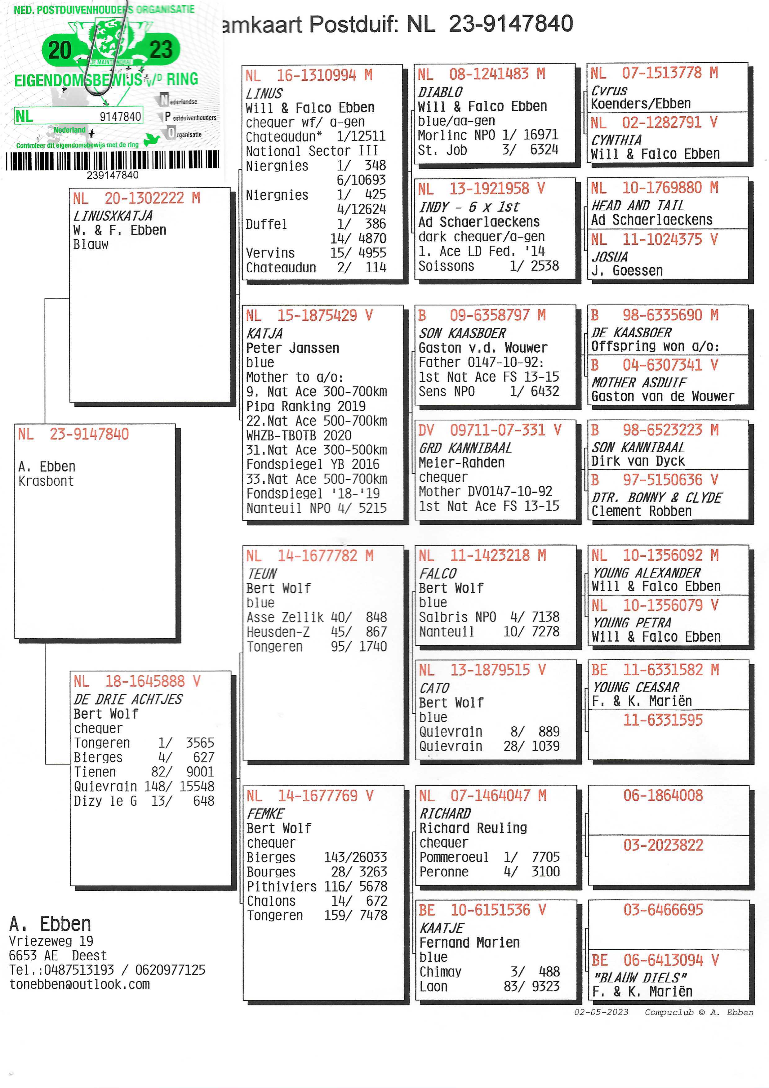 Pigeon pedigree image