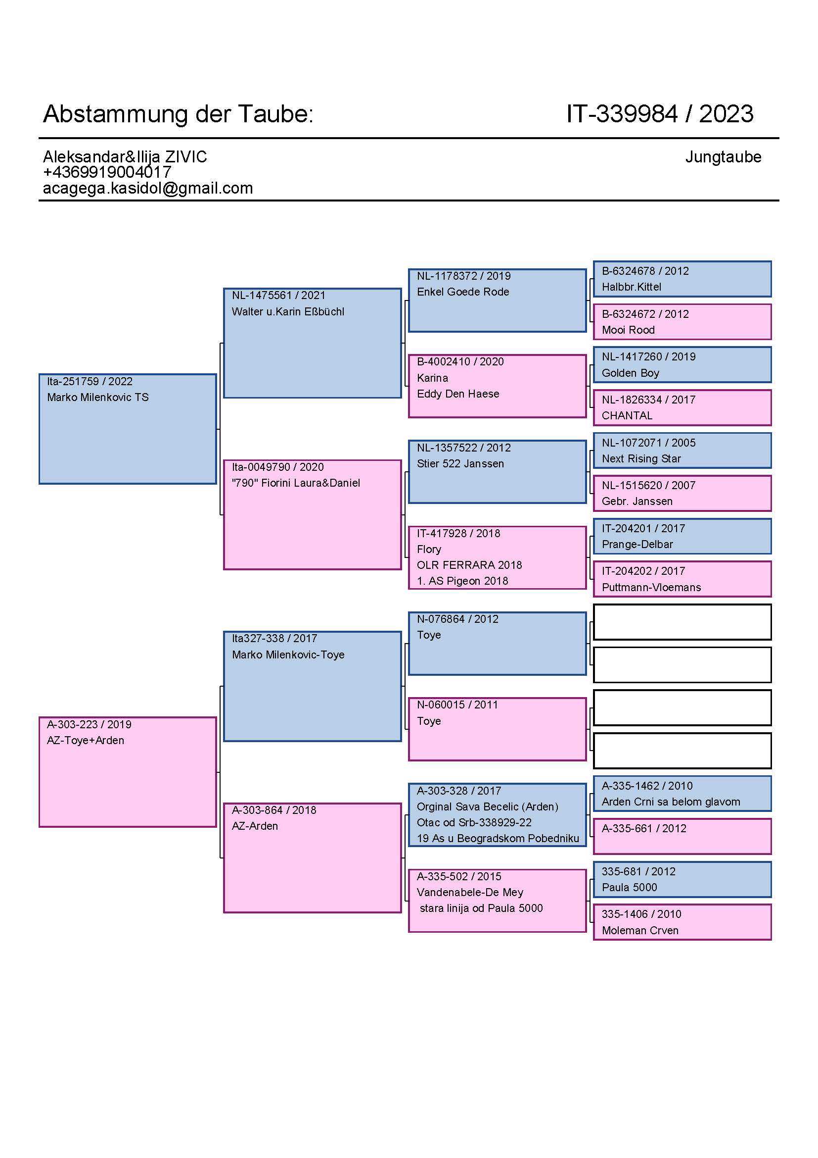 Pigeon pedigree image