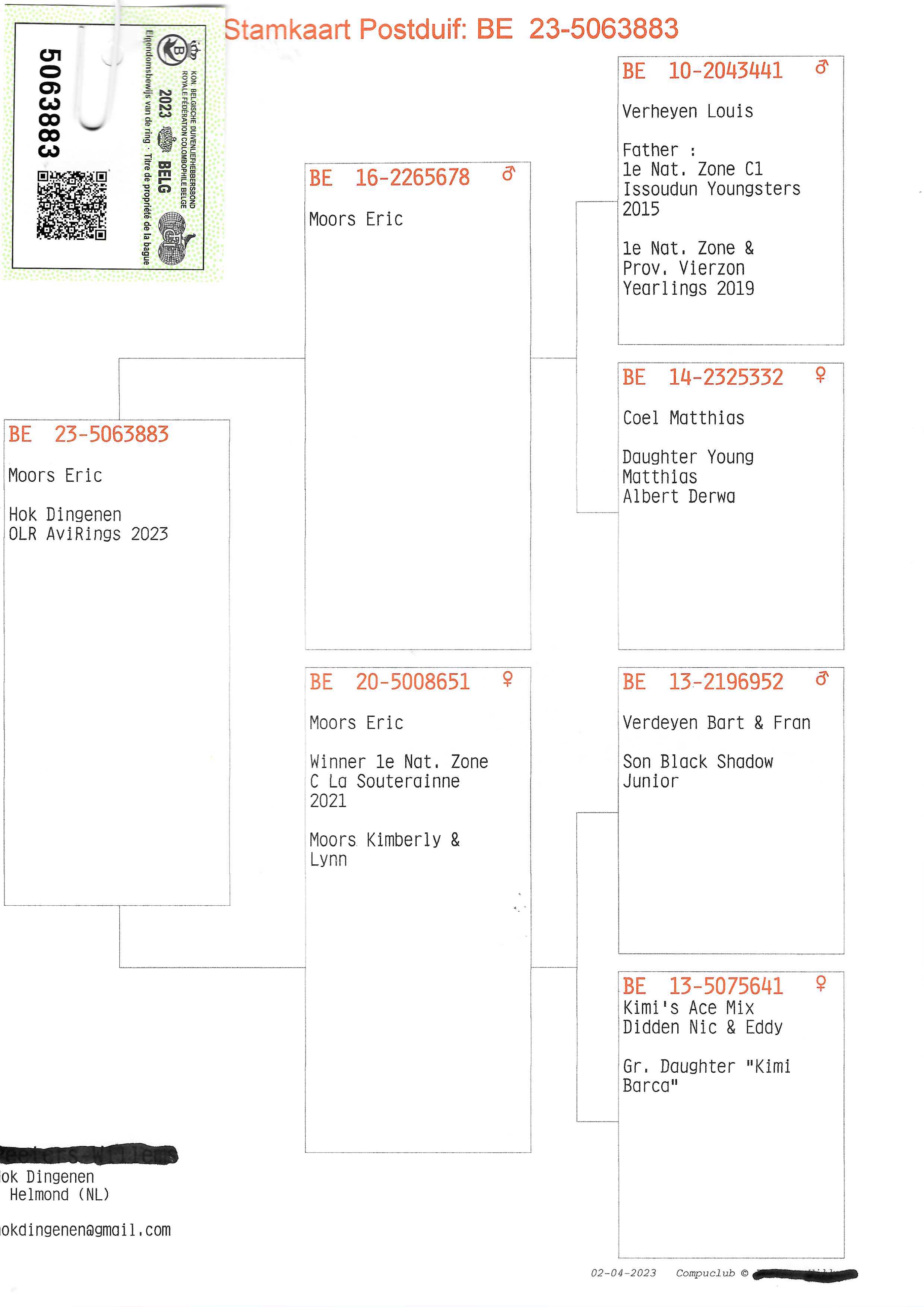Pigeon pedigree image