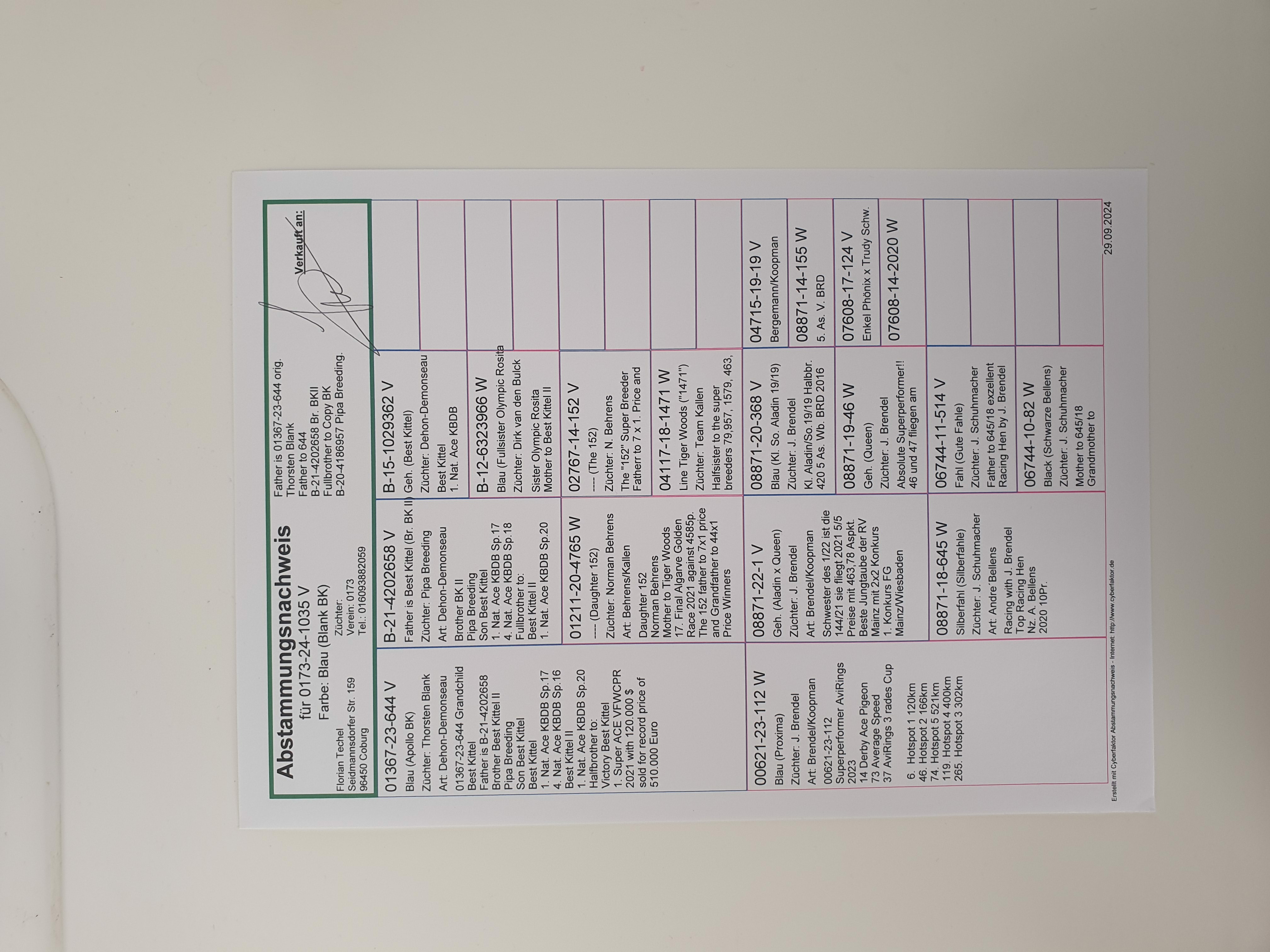 Pigeon pedigree image