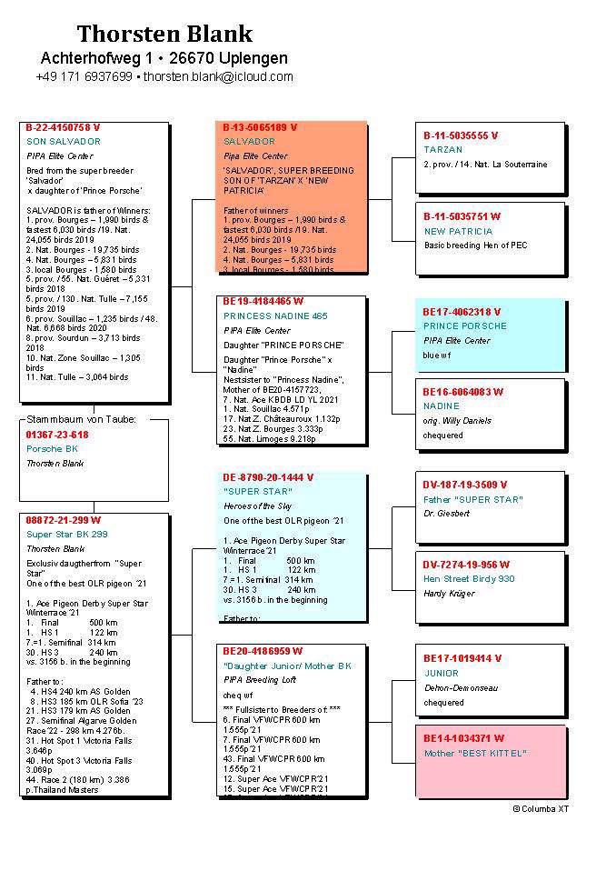 Pigeon pedigree image