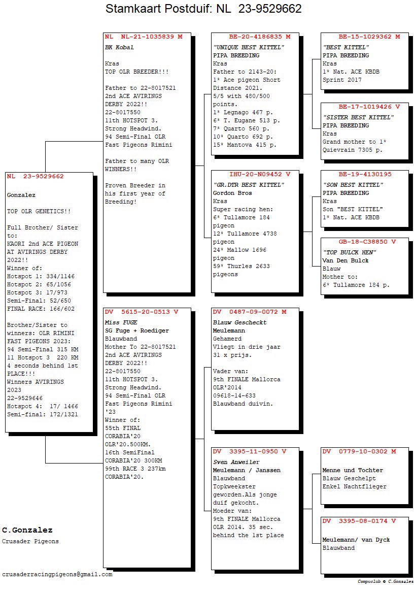 Pigeon pedigree image