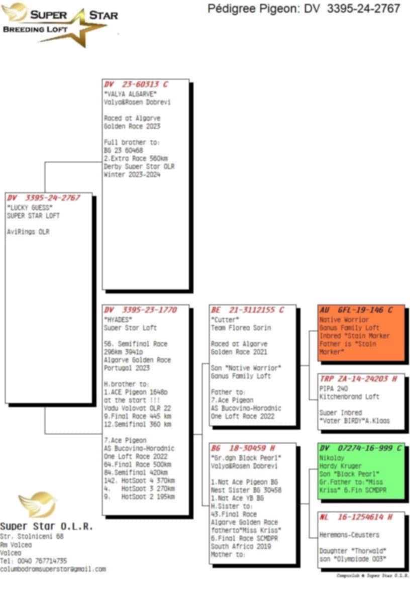Pigeon pedigree image