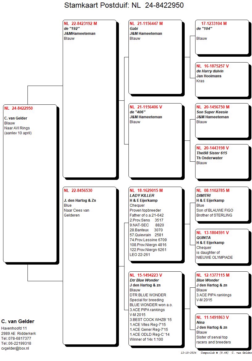 Pigeon pedigree image