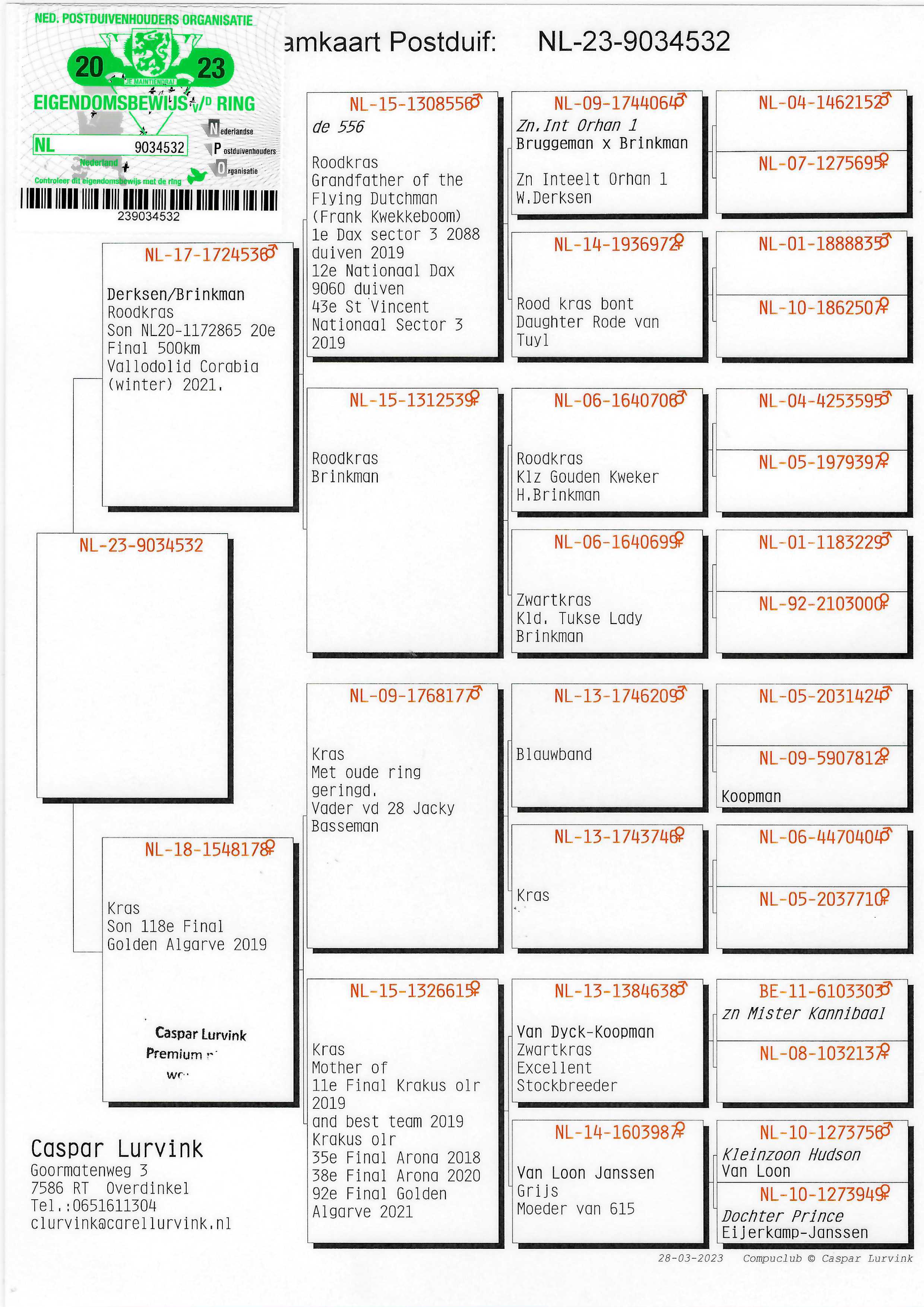 Pigeon pedigree image