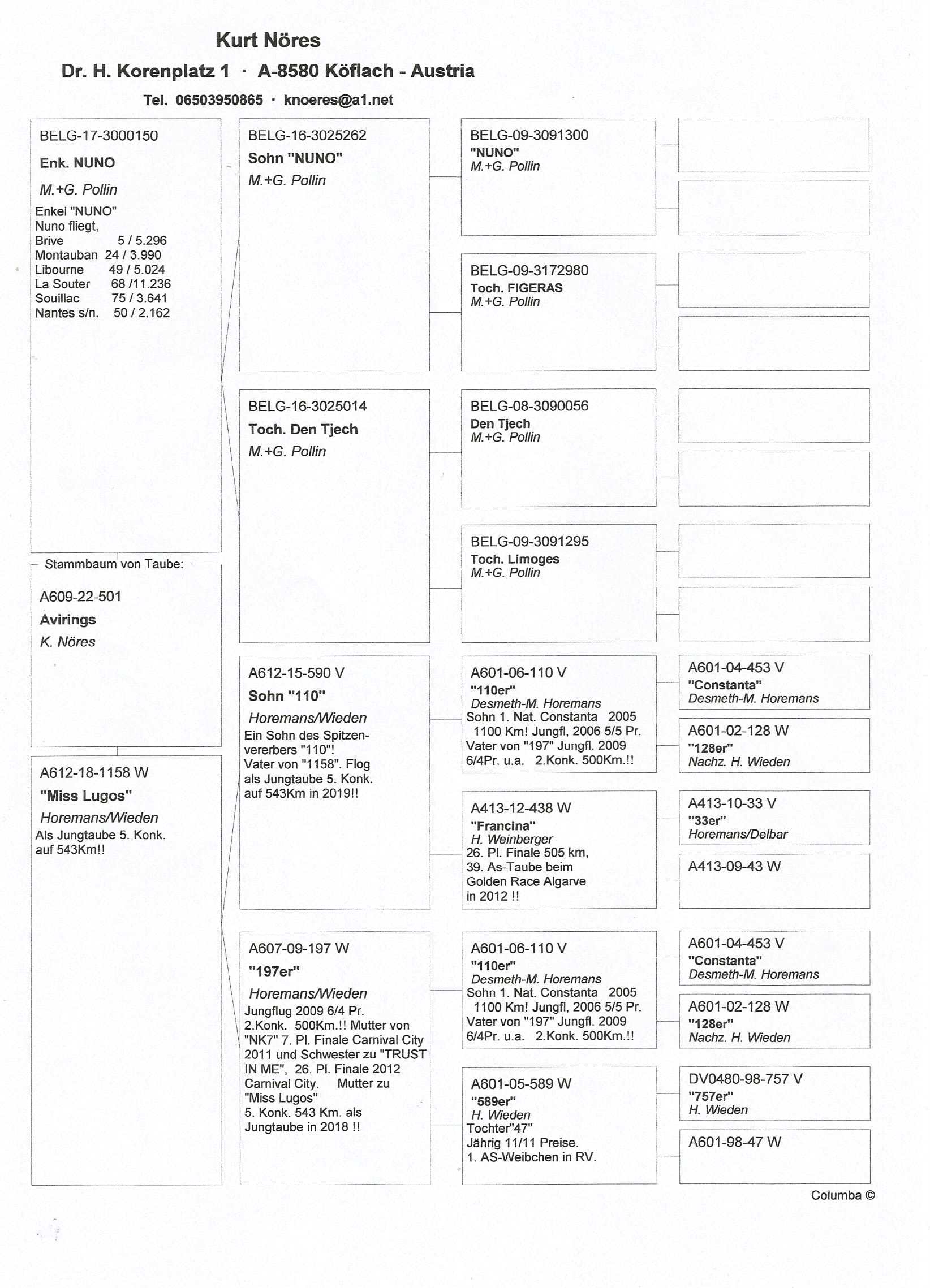 Pigeon pedigree image