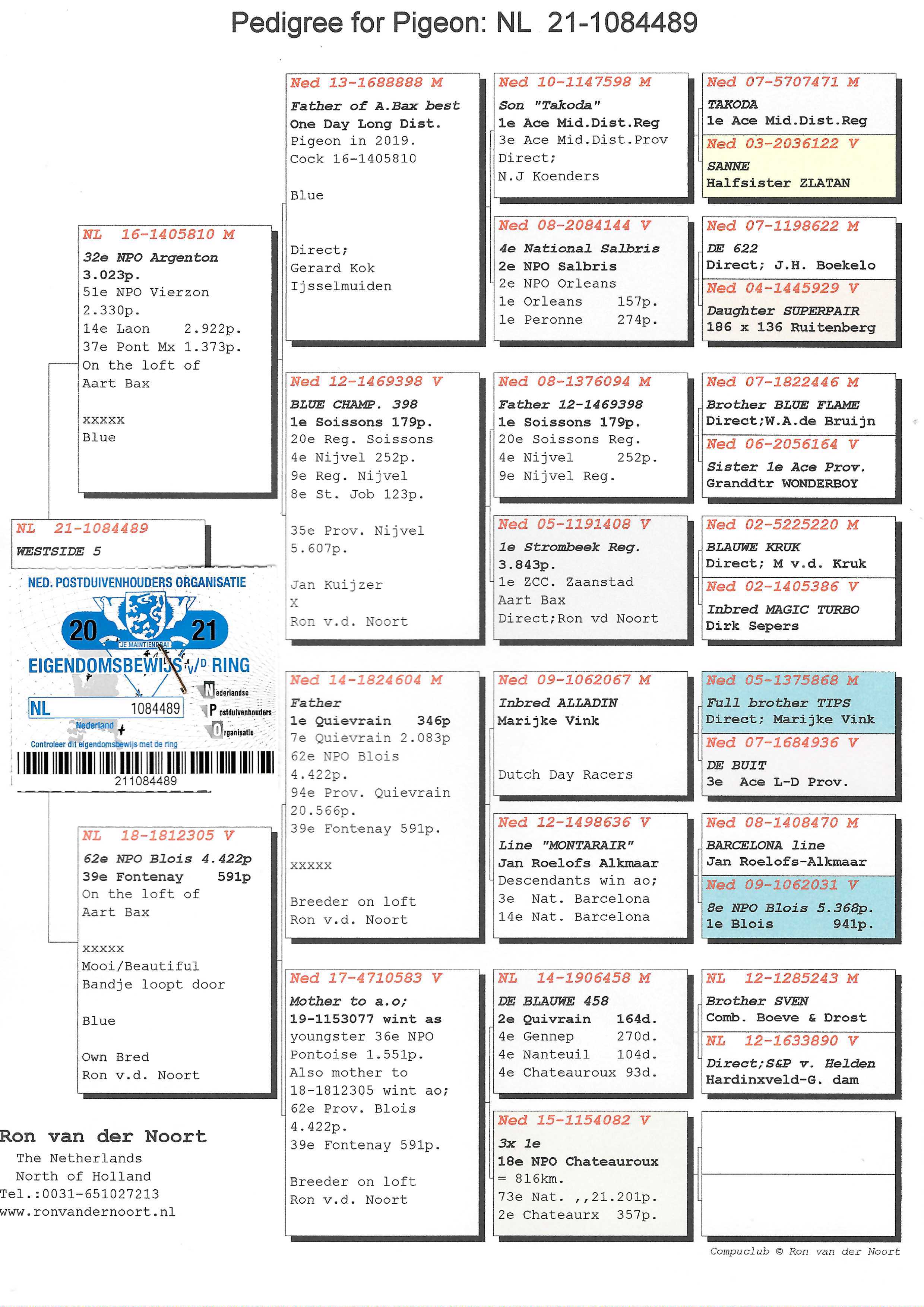 Pigeon pedigree image
