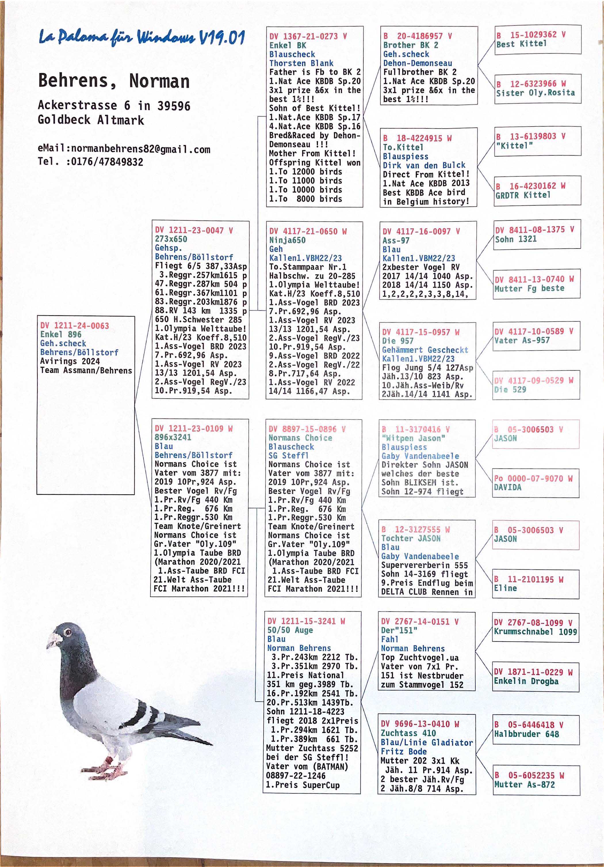 Pigeon pedigree image