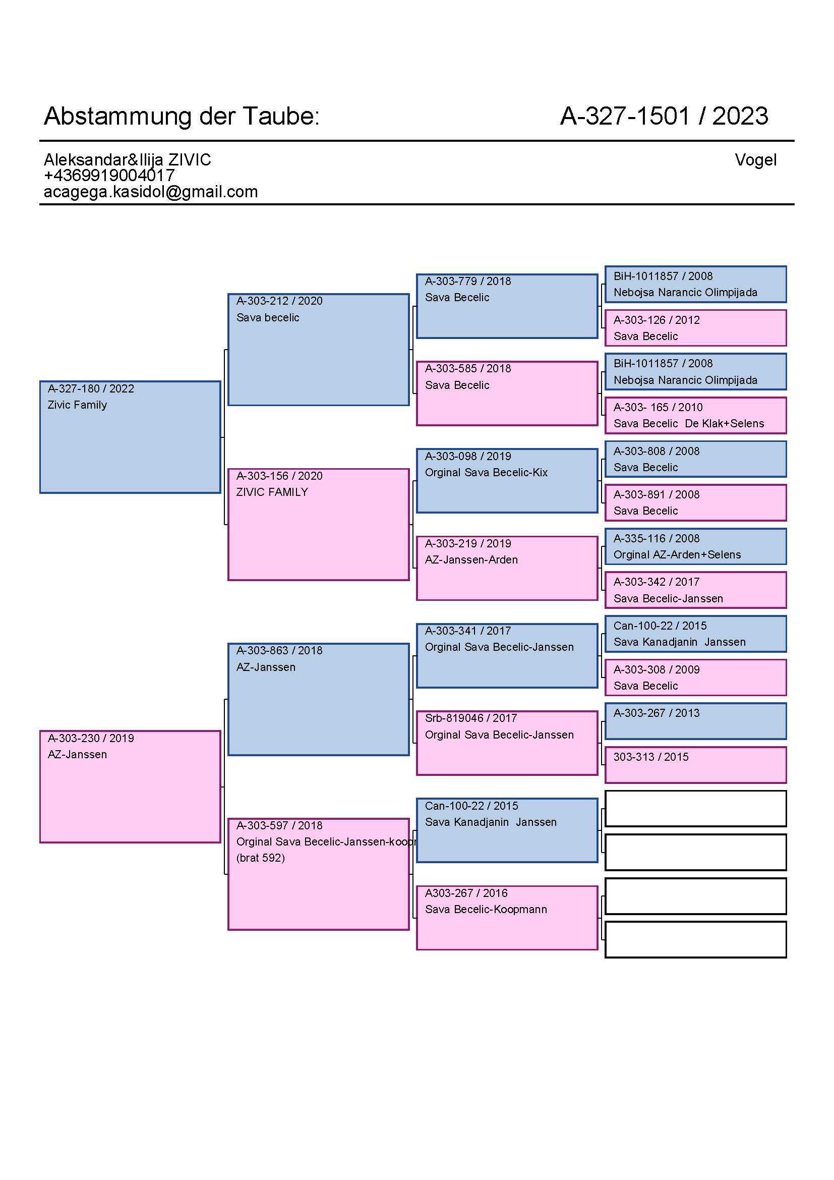 Pigeon pedigree image