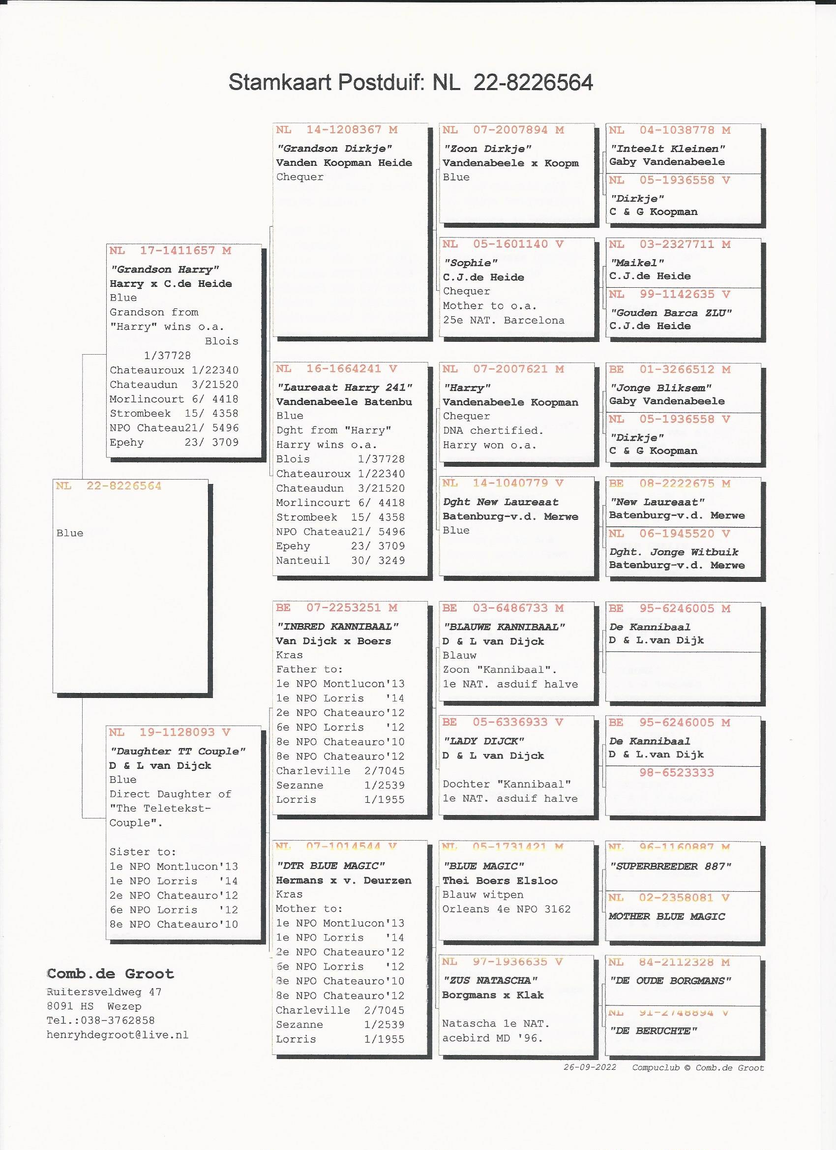 Pigeon pedigree image