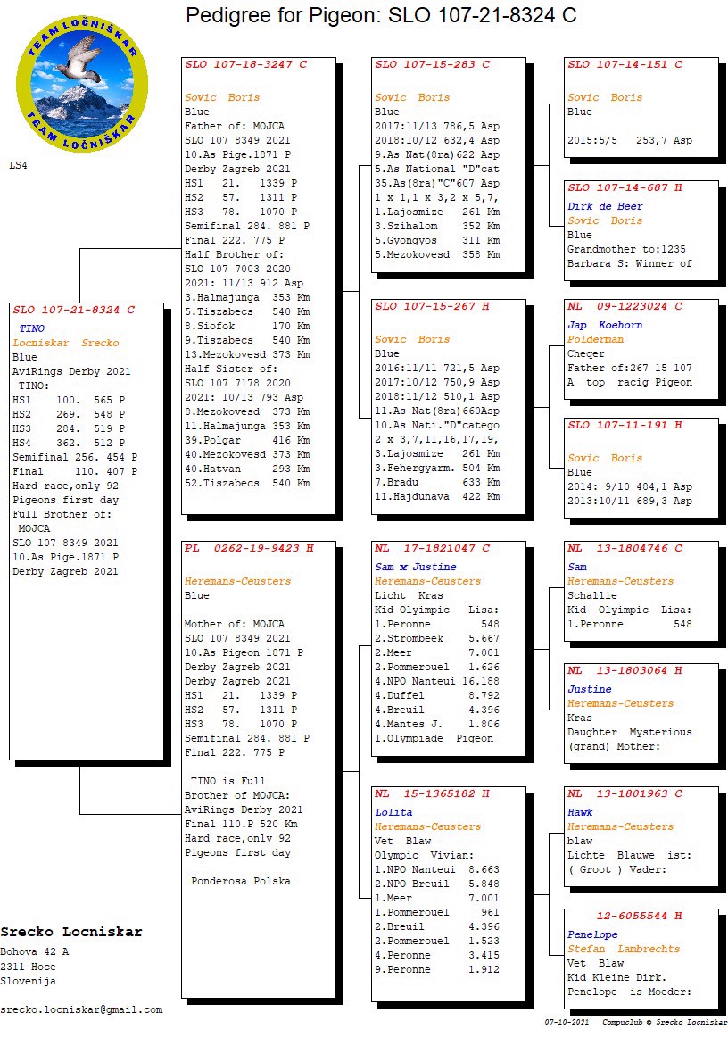 Pigeon pedigree image