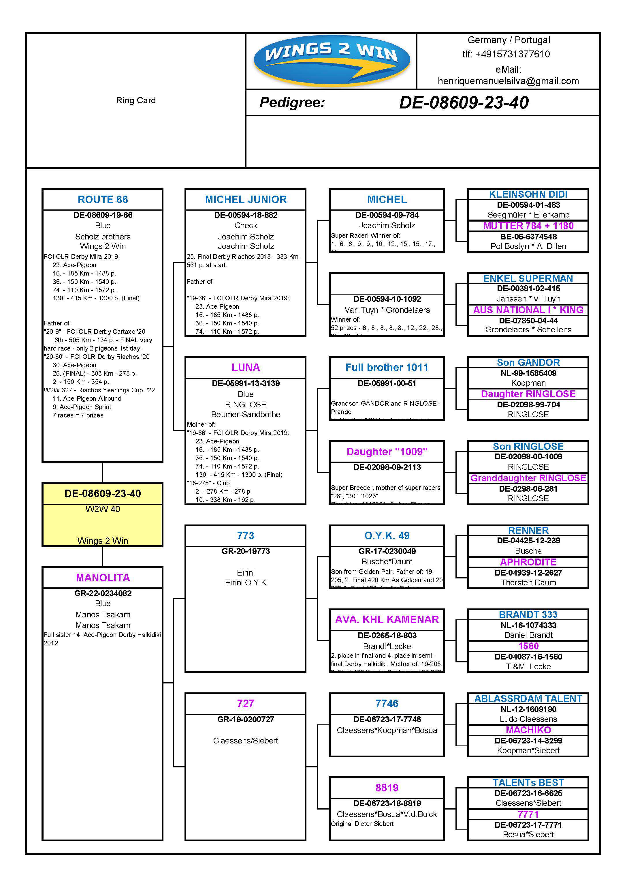Pigeon pedigree image