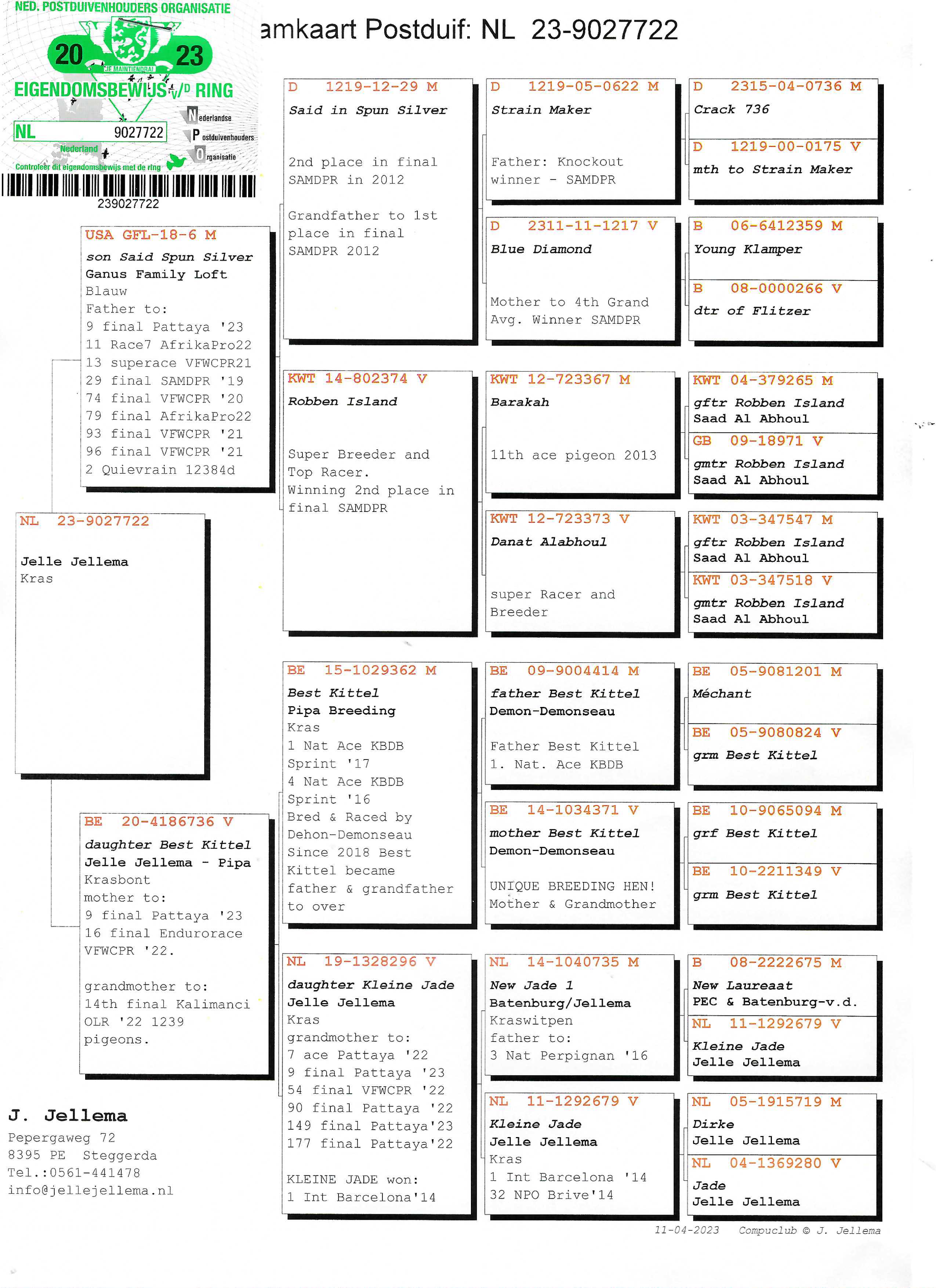 Pigeon pedigree image