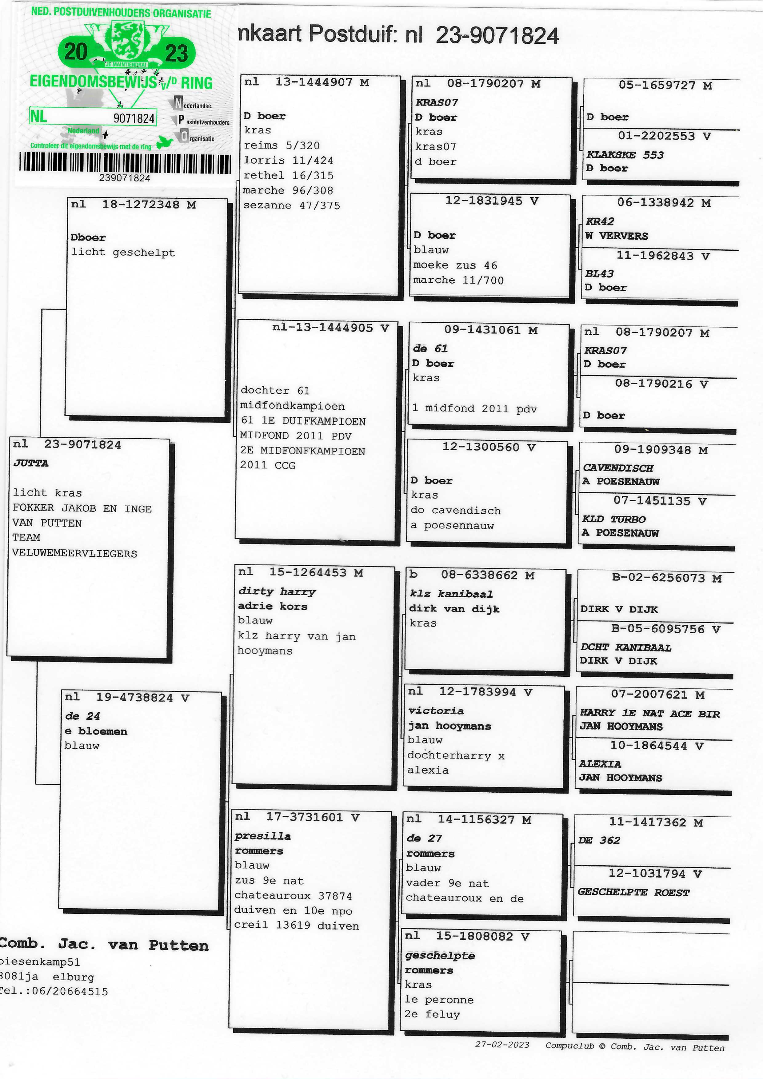 Pigeon pedigree image