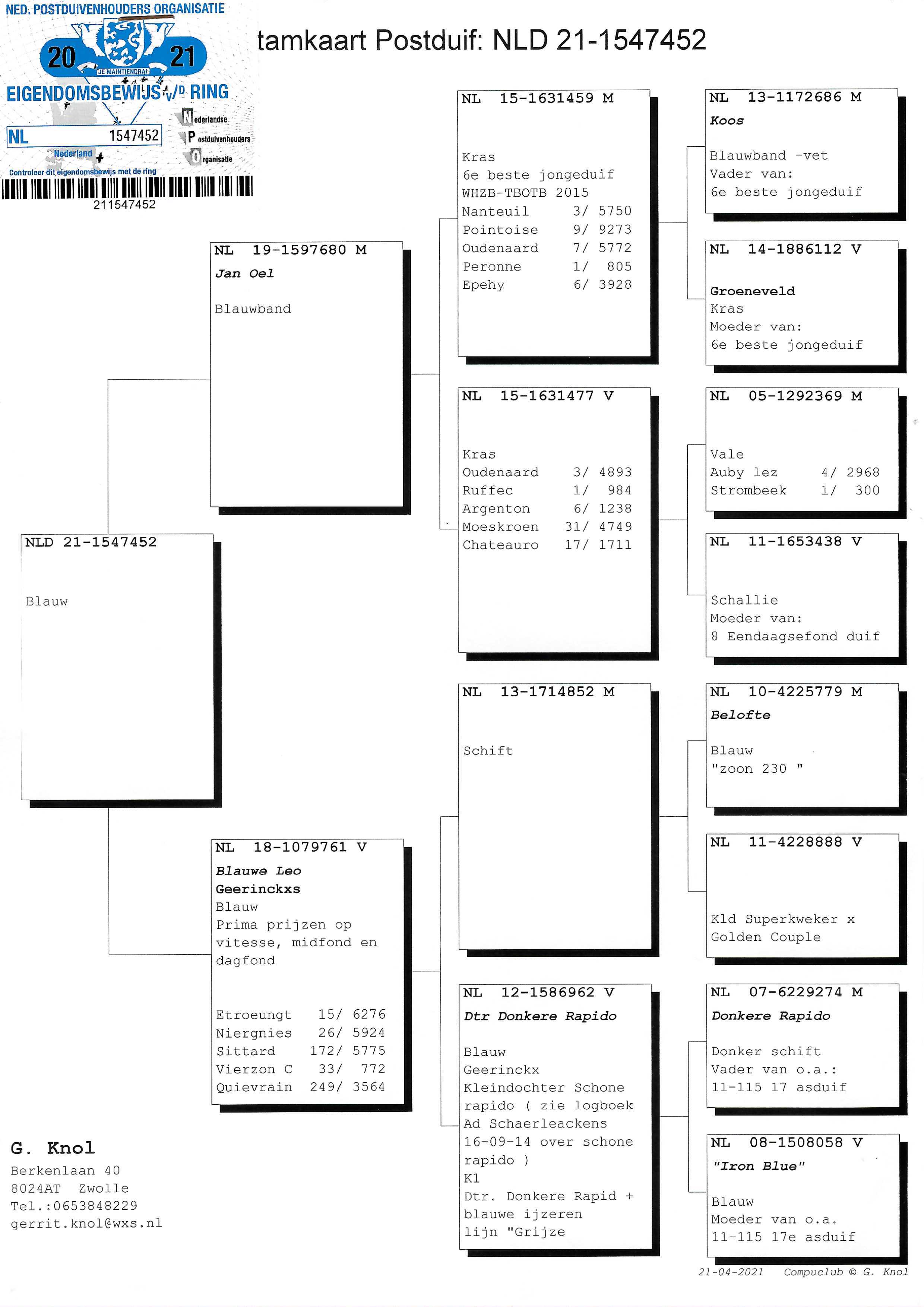 Pigeon pedigree image