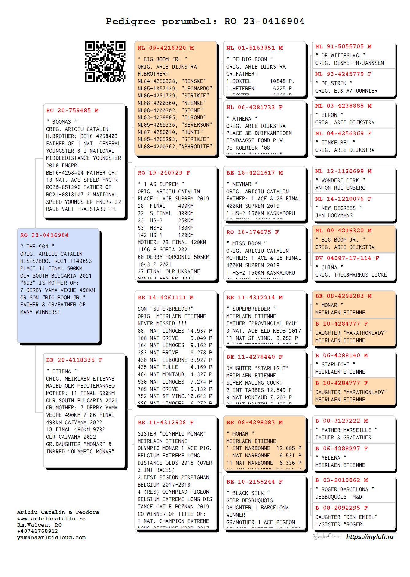 Pigeon pedigree image